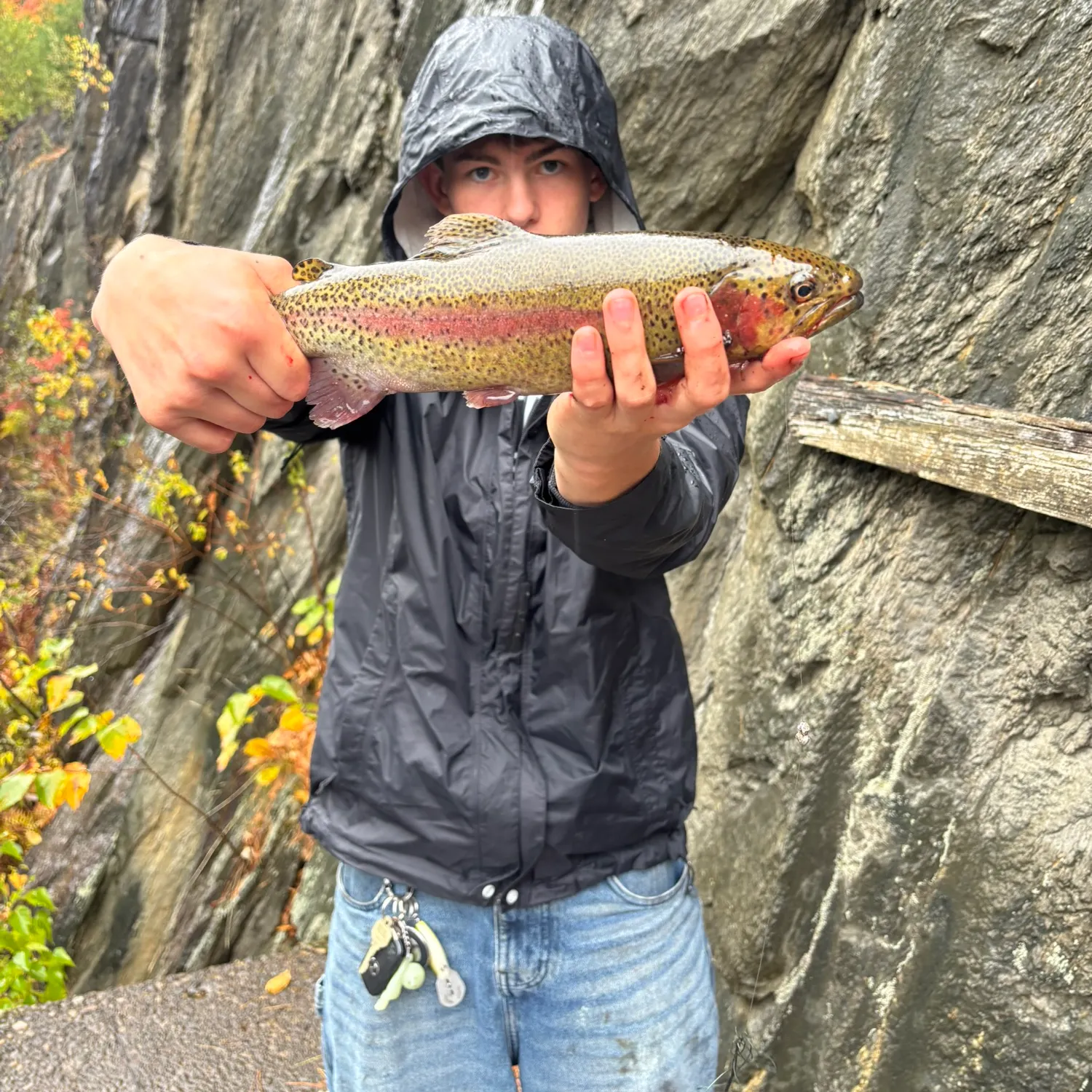 Rainbow trout caught on Fishbrain
