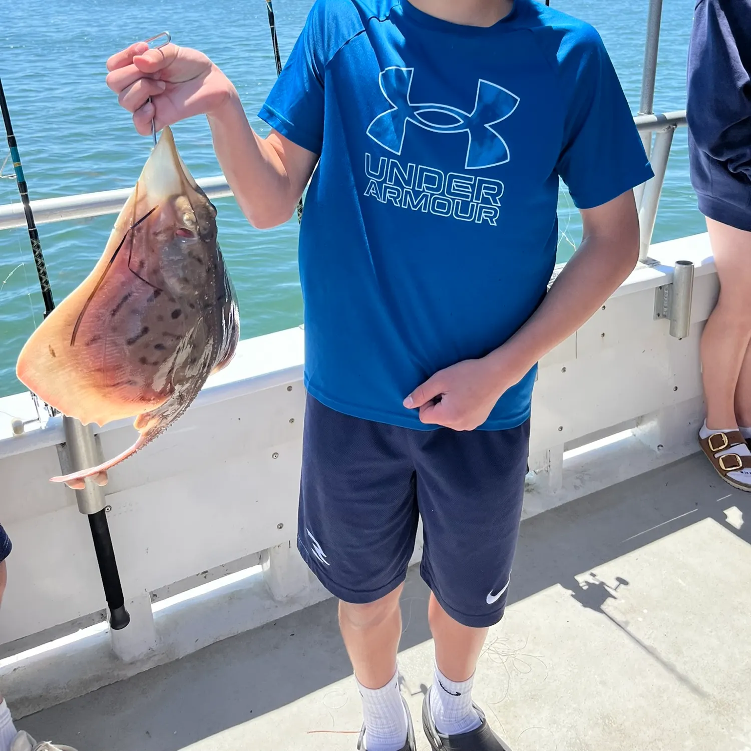 The most recent Atlantic stingray catches on Fishbrain