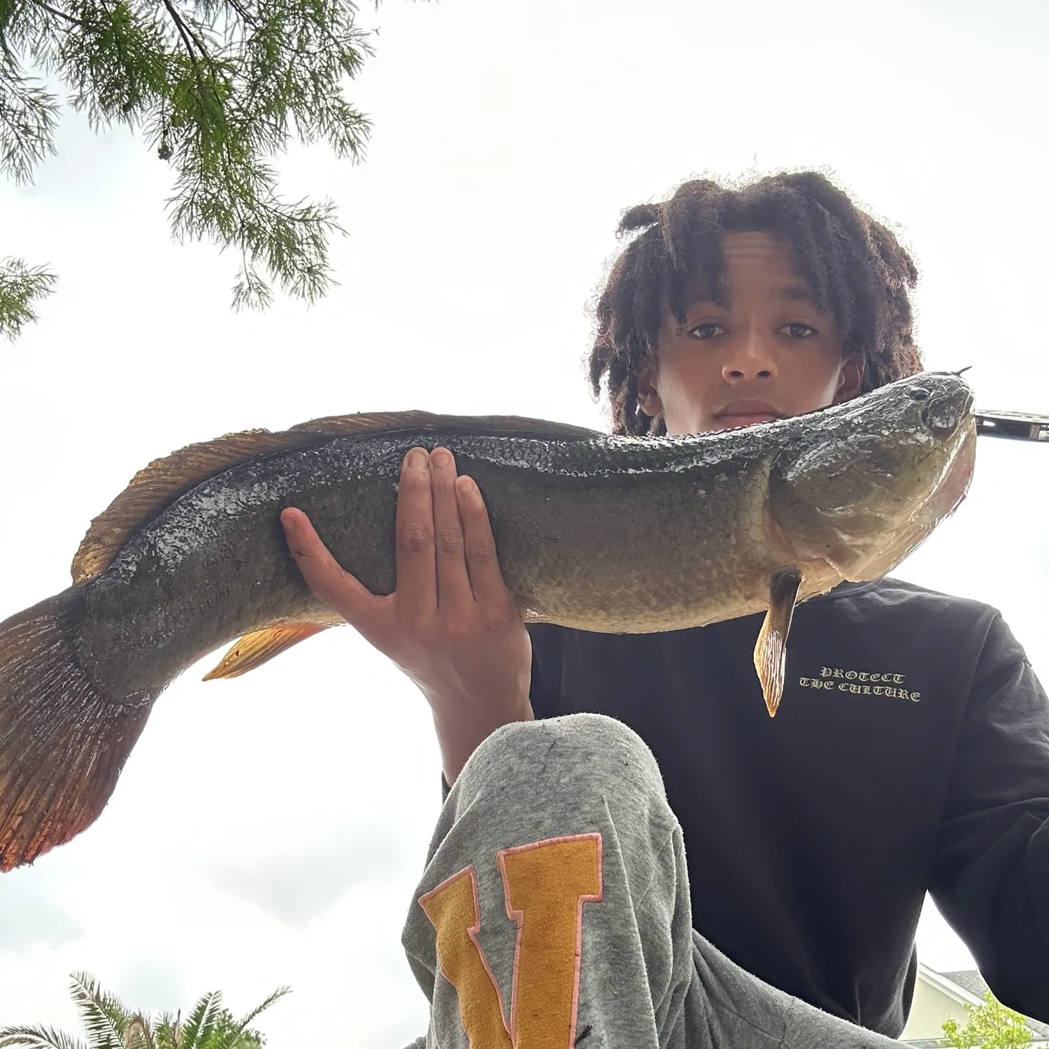catch