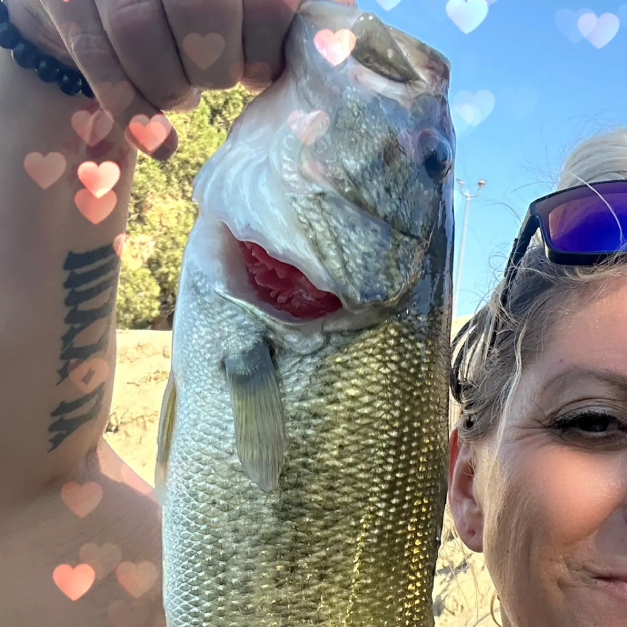 Largemouth bass caught on Fishbrain
