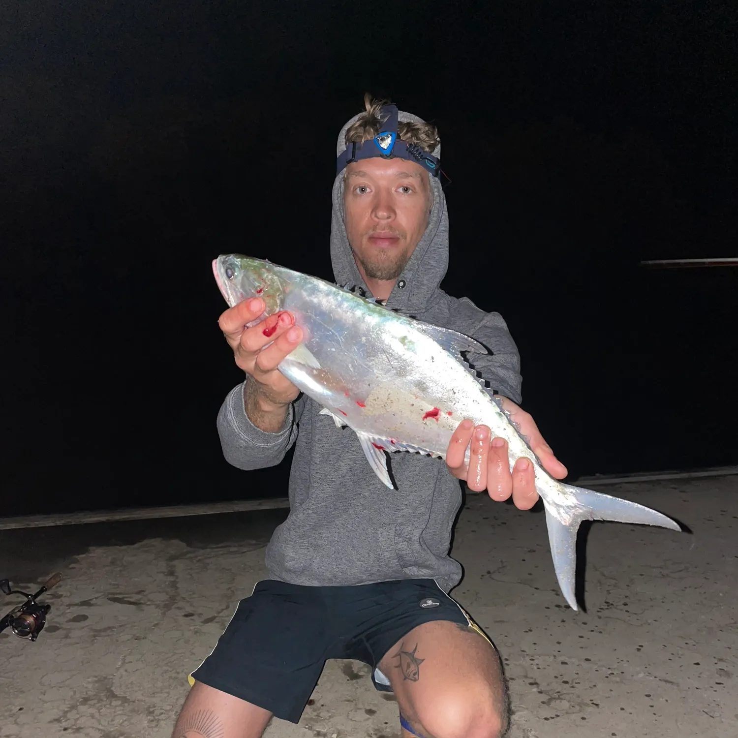 The most recent Talang queenfish catches on Fishbrain
