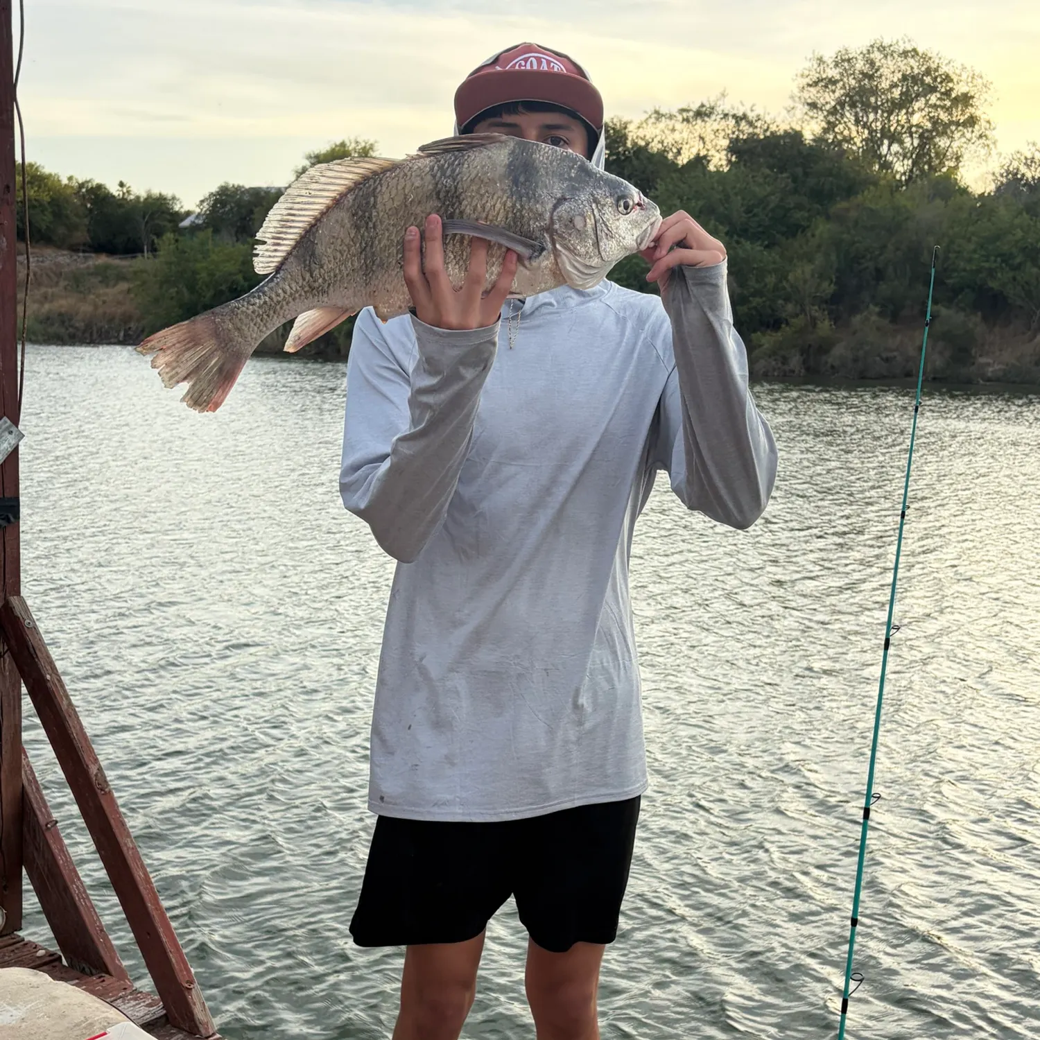 Black drum caught on Fishbrain