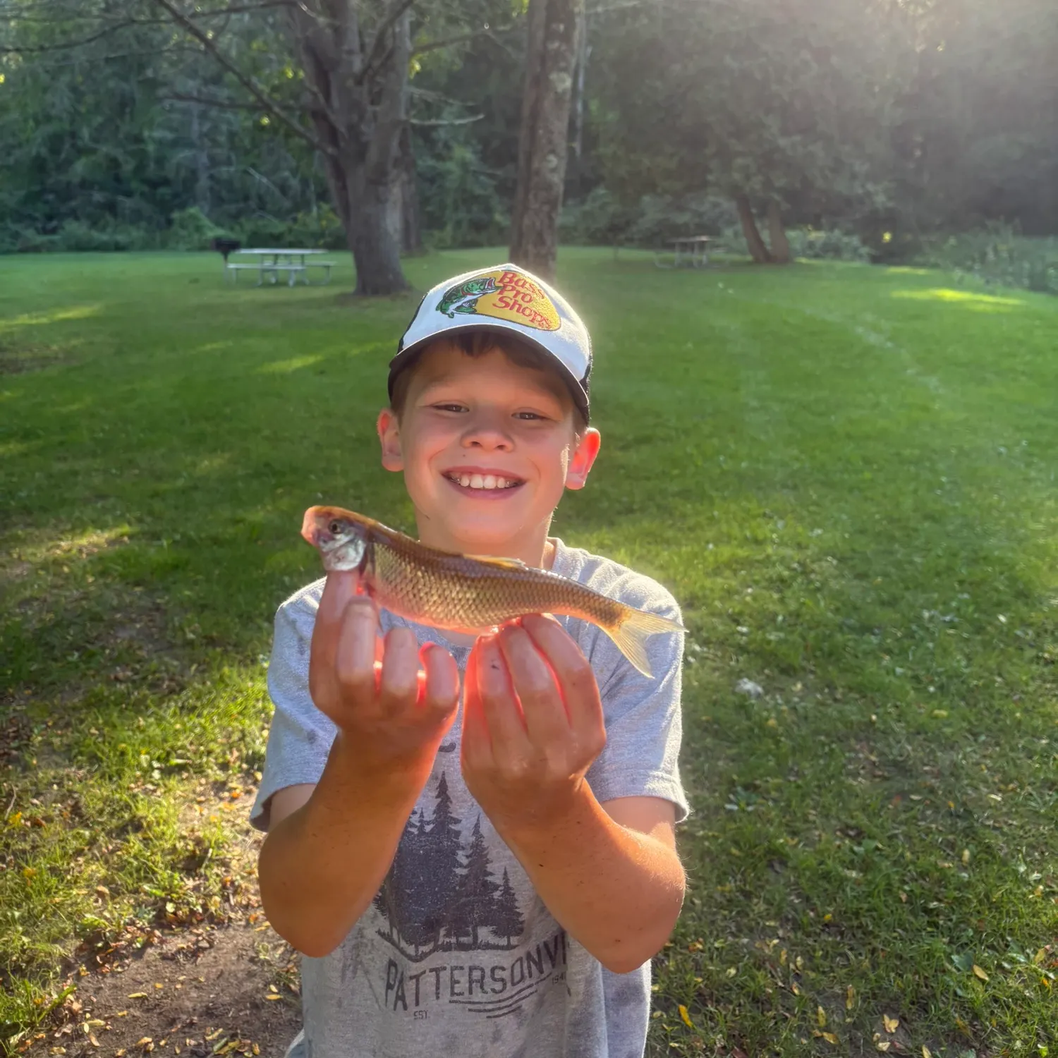 Fallfish caught on Fishbrain