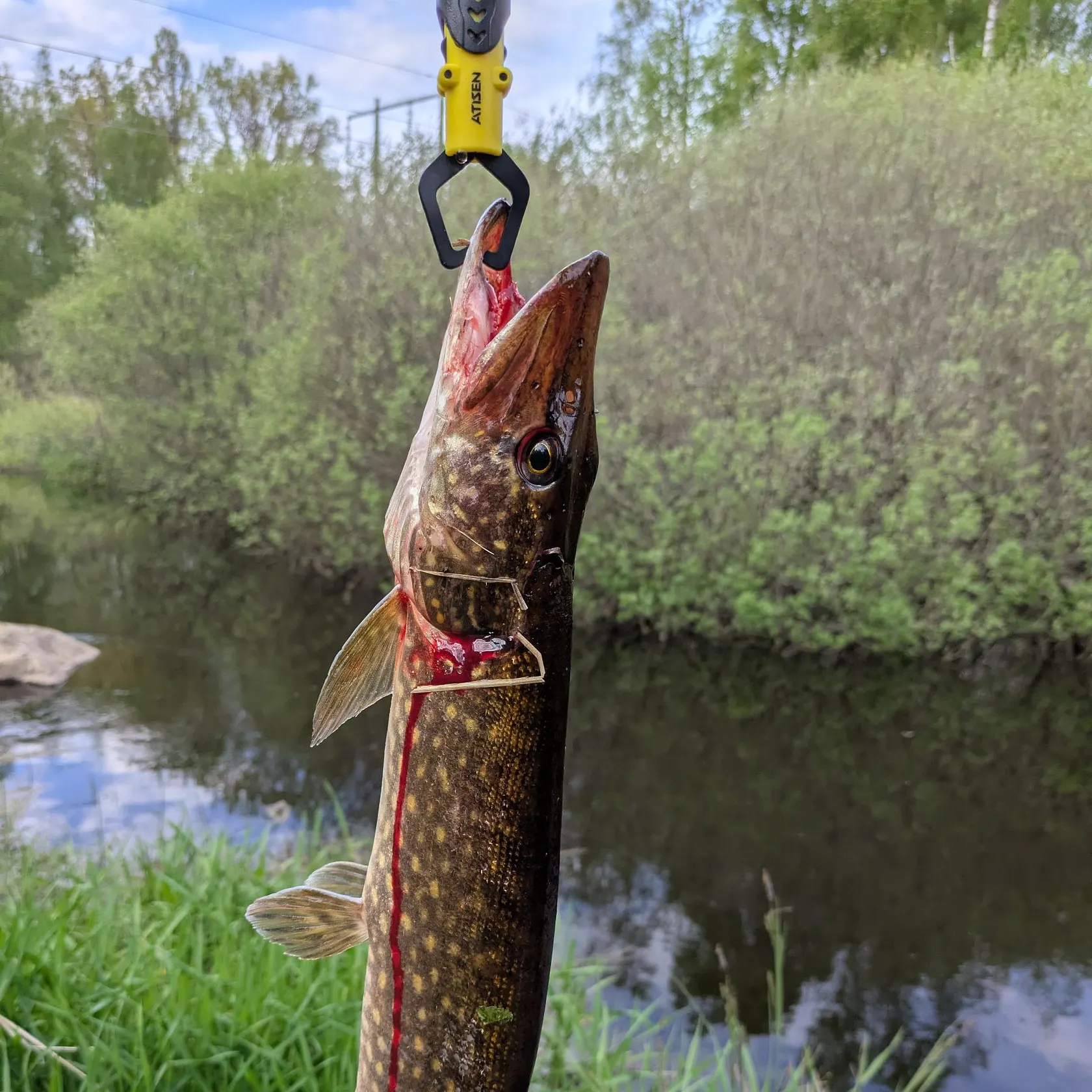 catch
