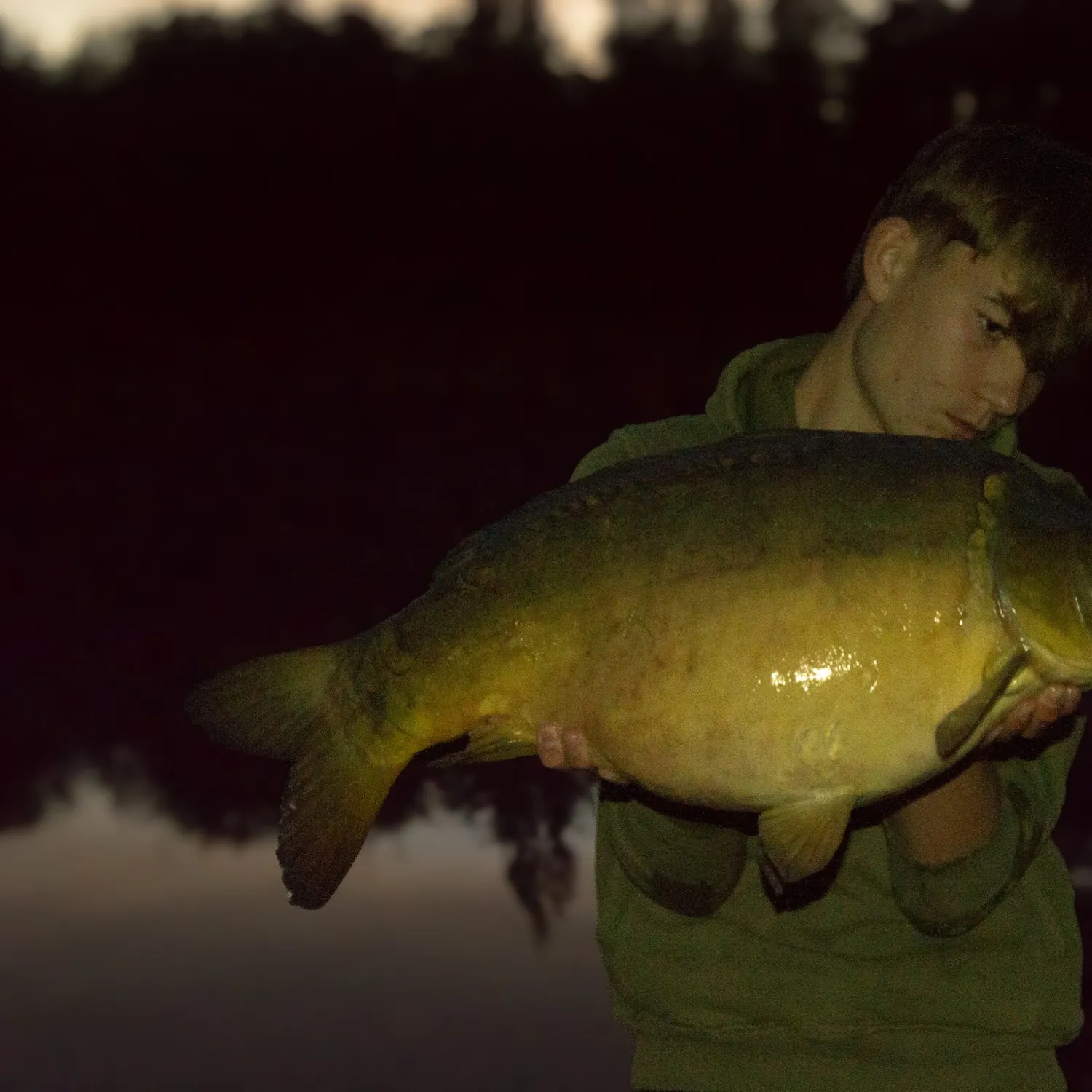 Mirror carp caught on Fishbrain
