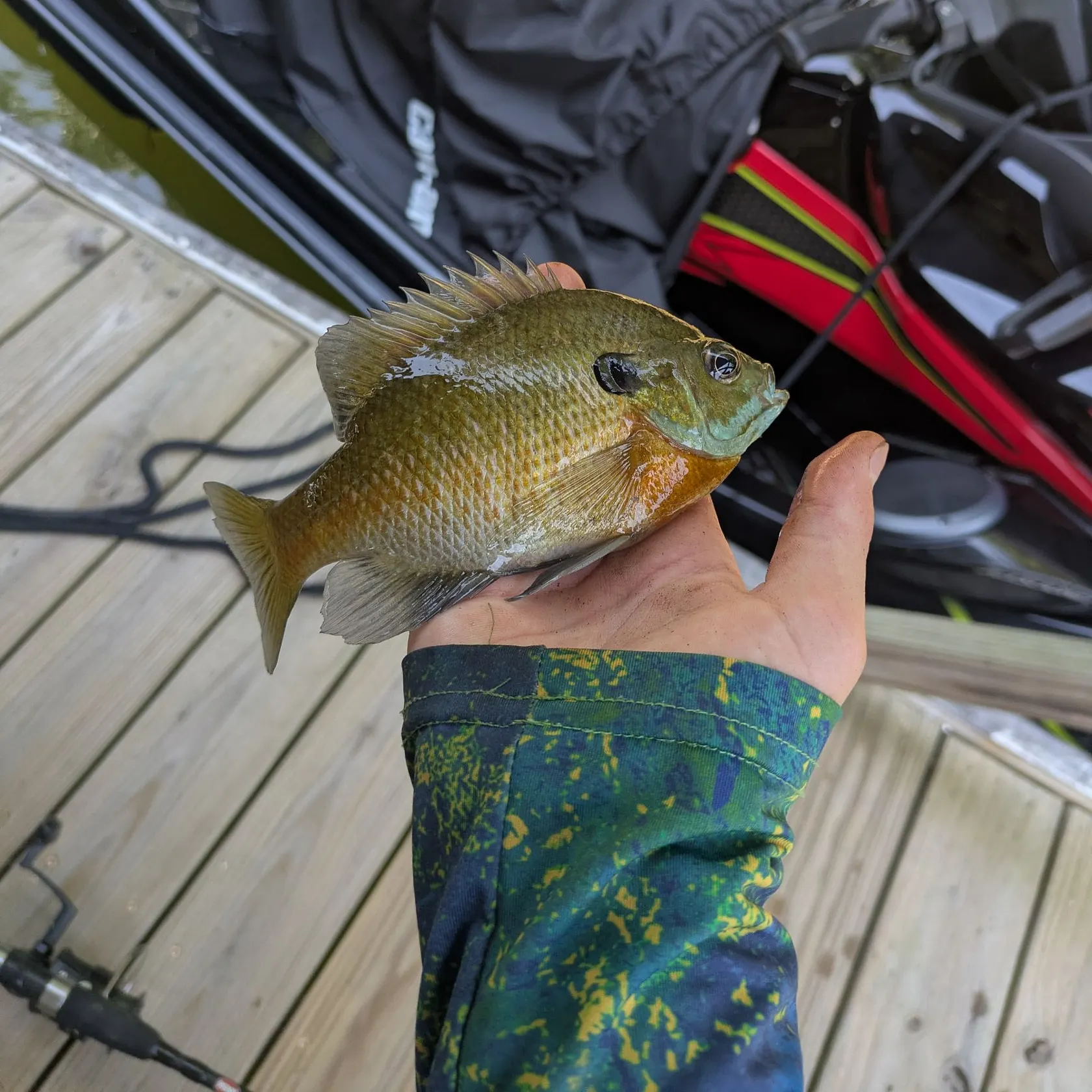 catch