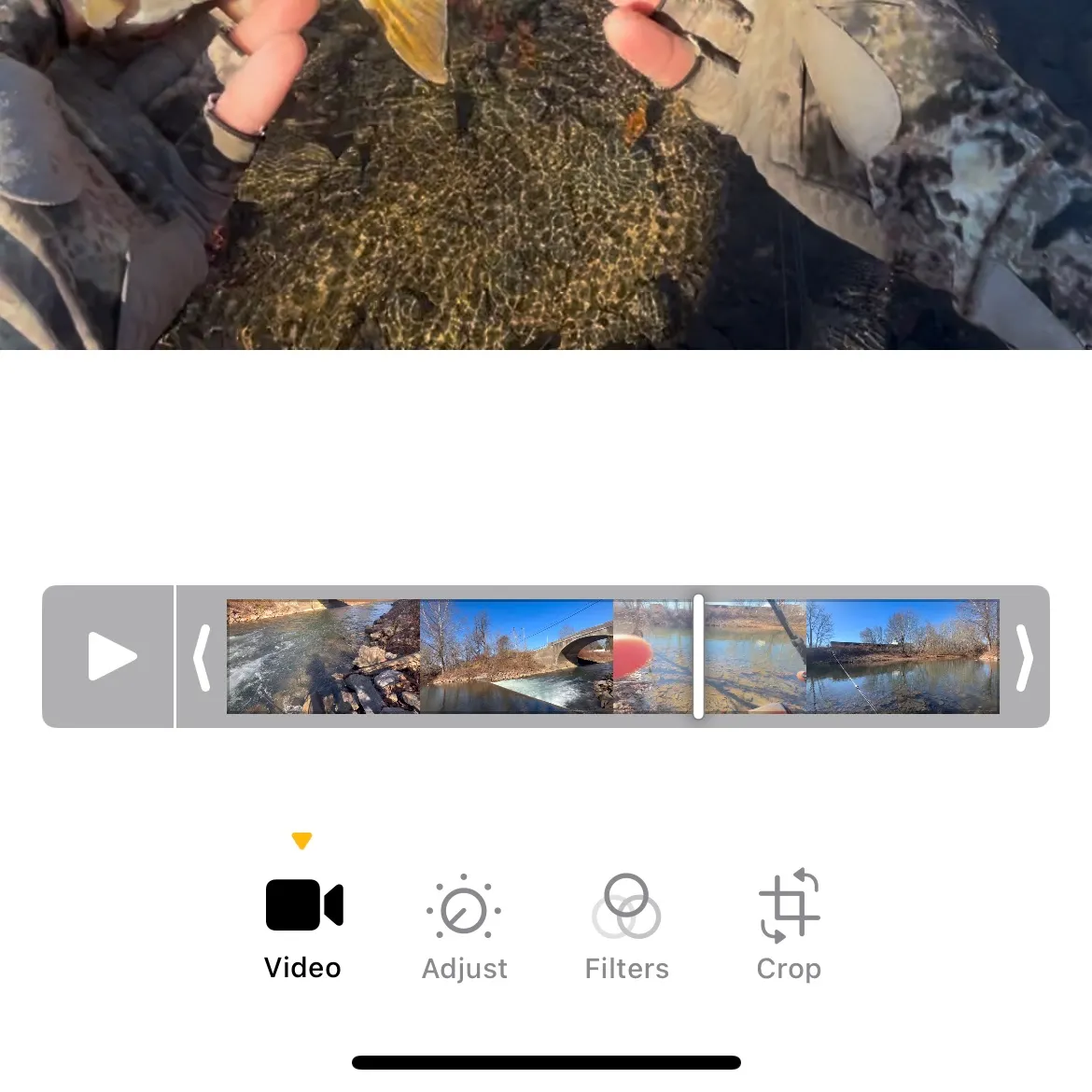 recently logged catches