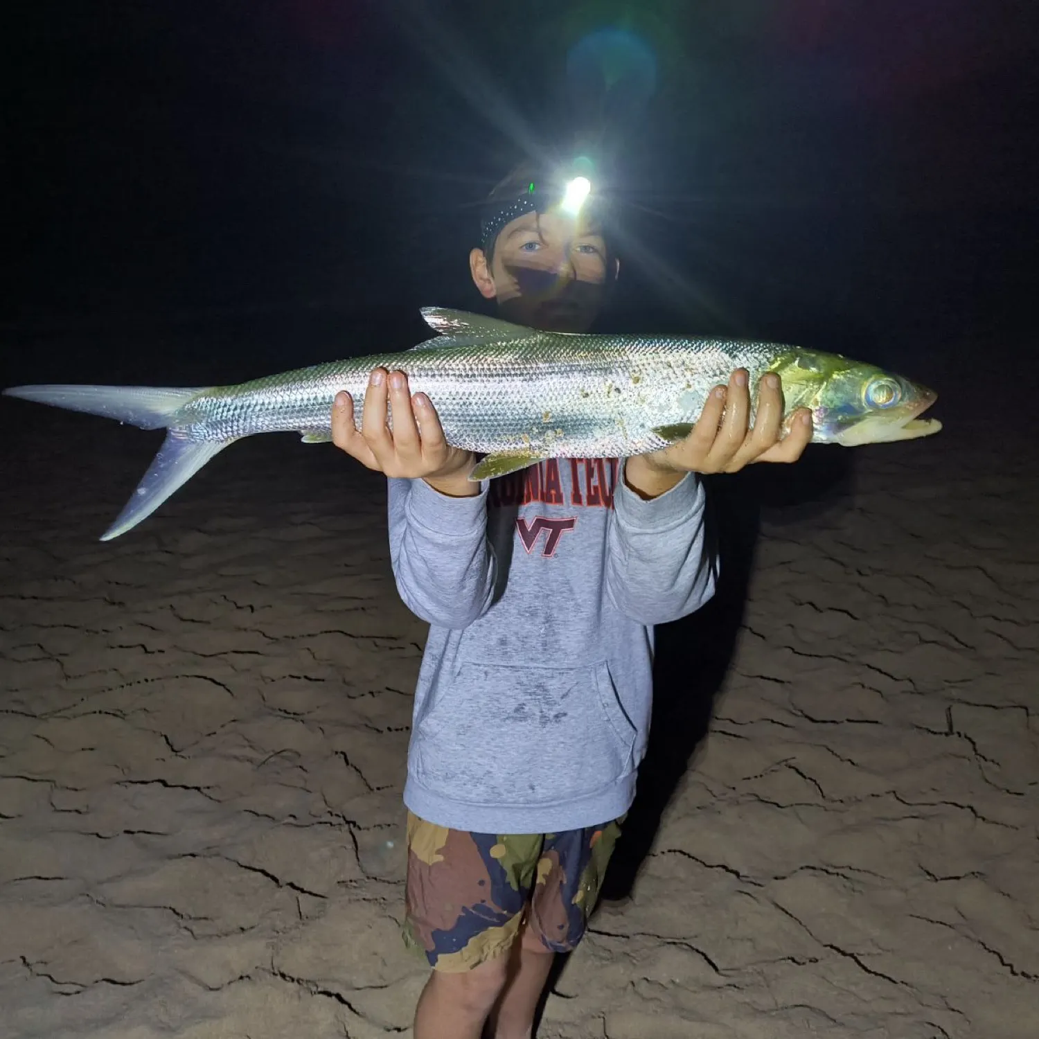 The most popular recent Hawaiian ladyfish catch on Fishbrain