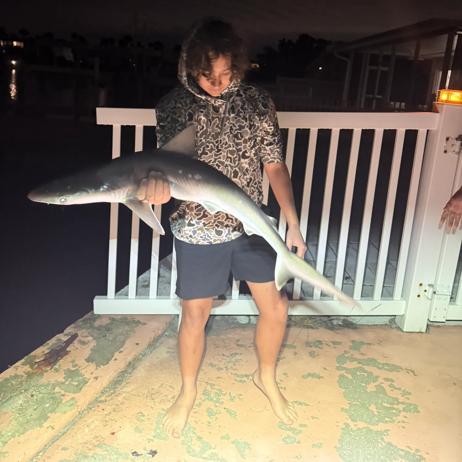 The most recent Atlantic sharpnose shark catches on Fishbrain