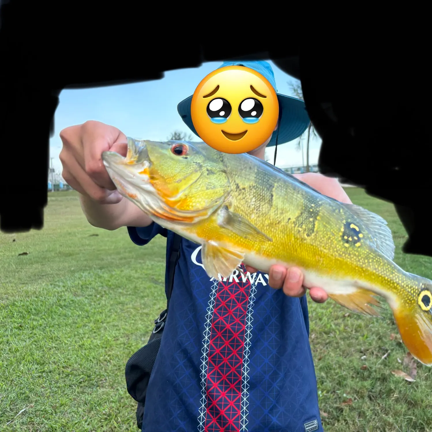 The most recent Butterfly peacock bass catches on Fishbrain