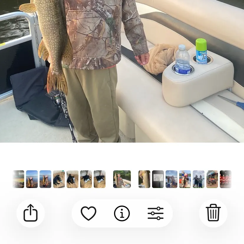 recently logged catches
