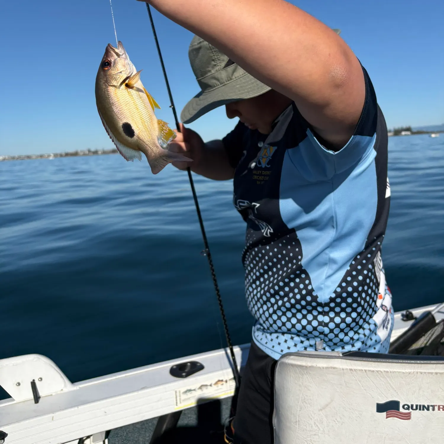 The most recent Moses perch catches on Fishbrain