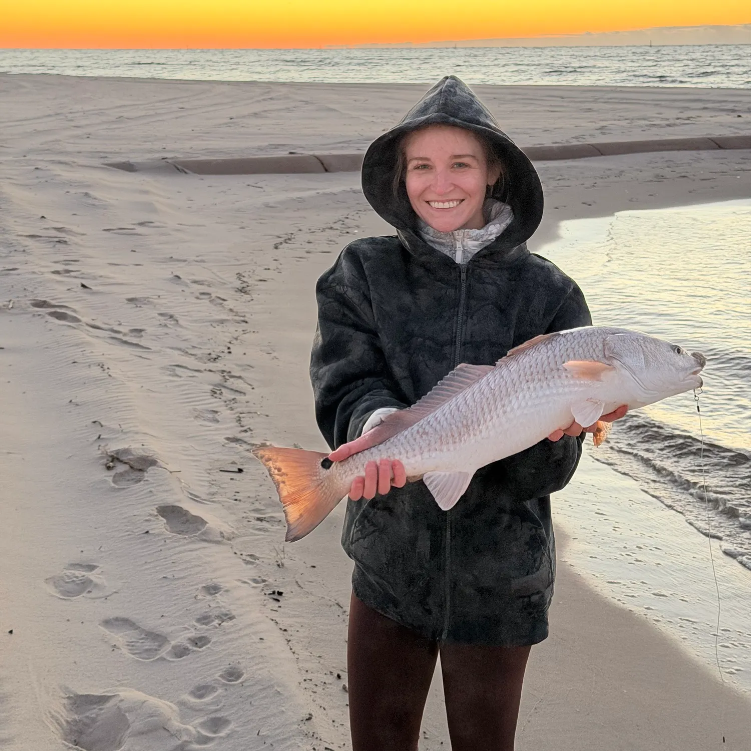 Red drum caught on Fishbrain