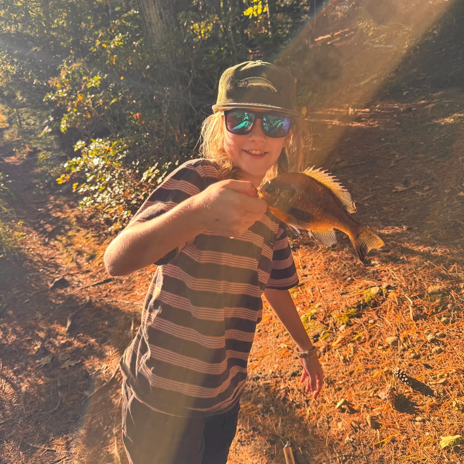 Bluegill caught on Fishbrain