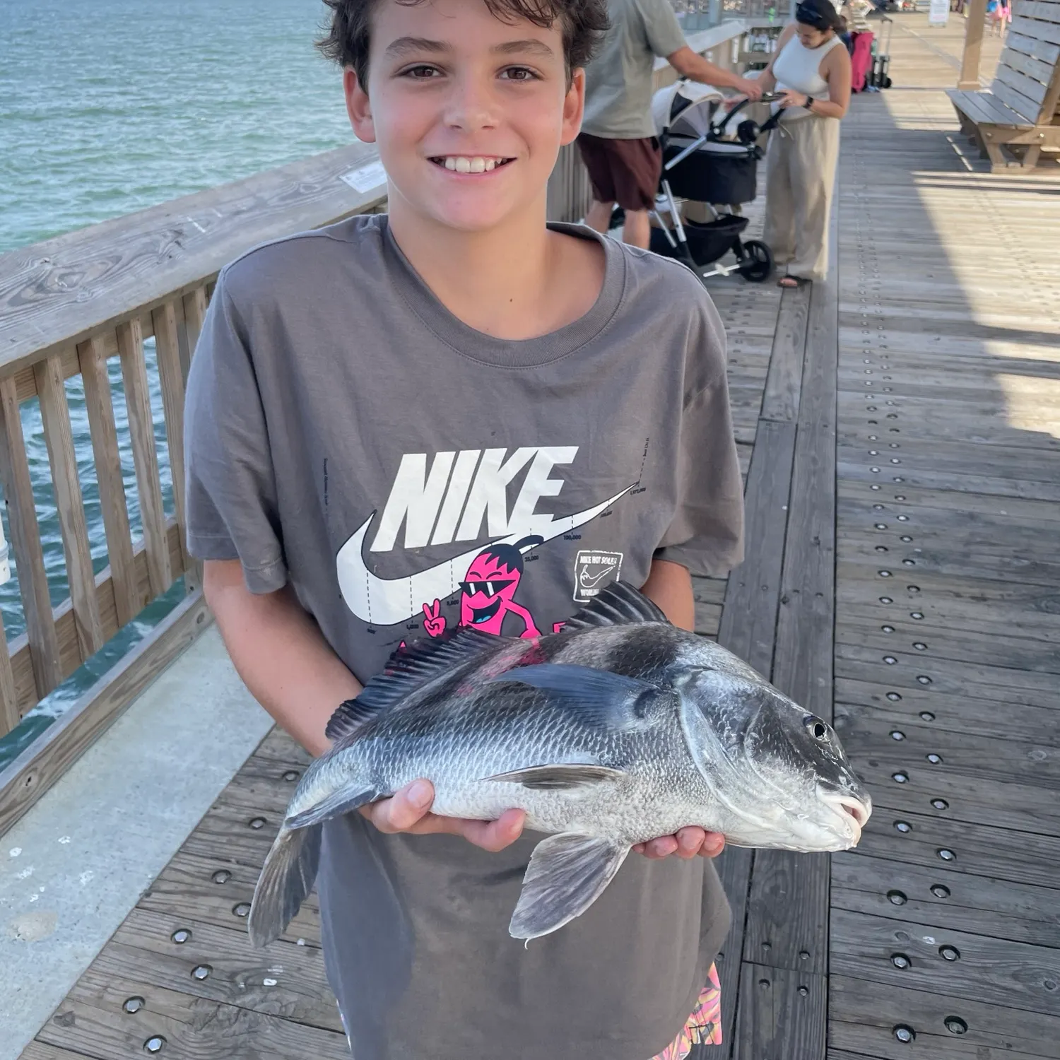 The most recent Black drum catches on Fishbrain