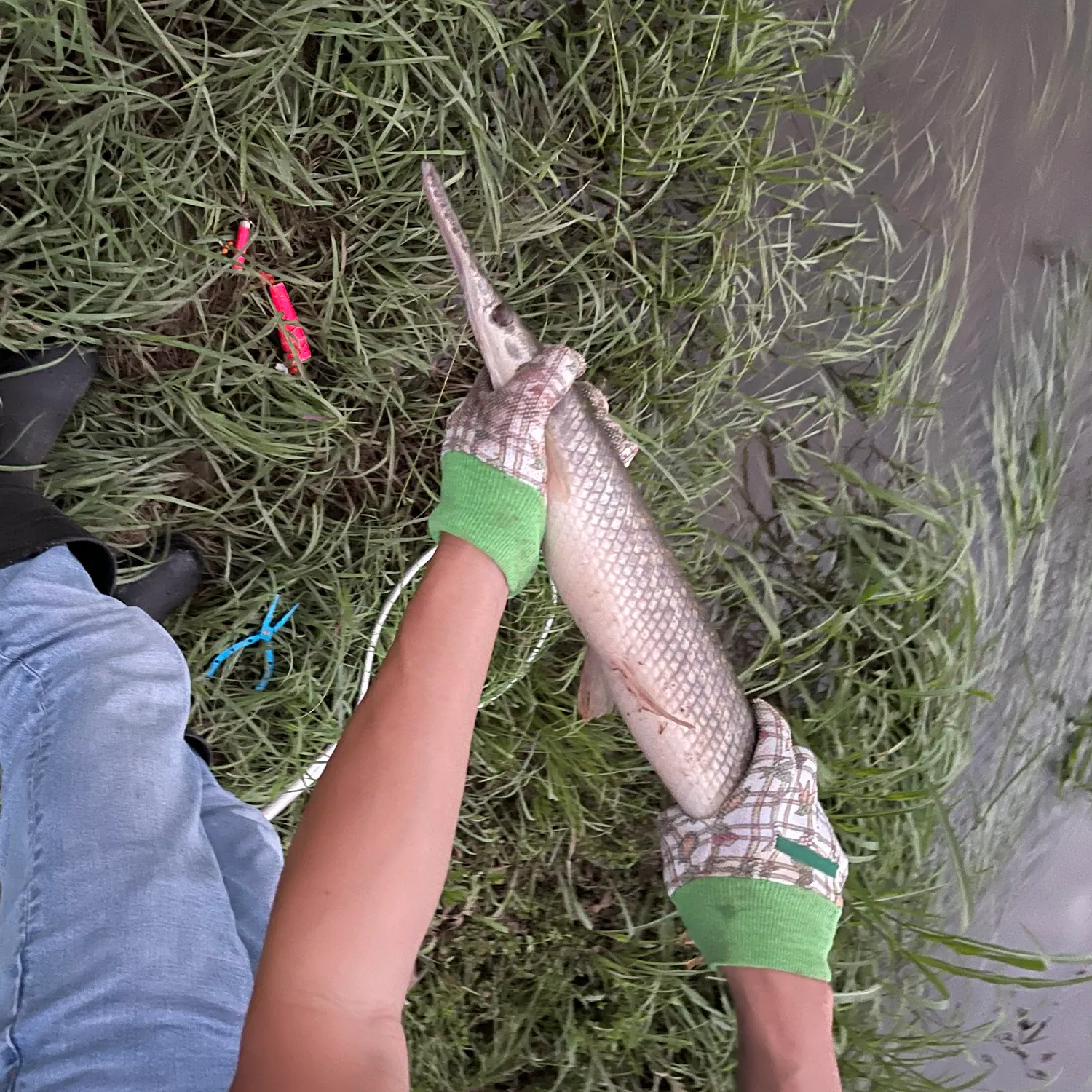 catch