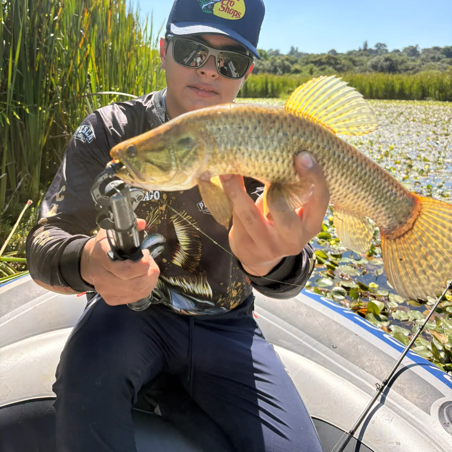 The most recent Trahira catches on Fishbrain
