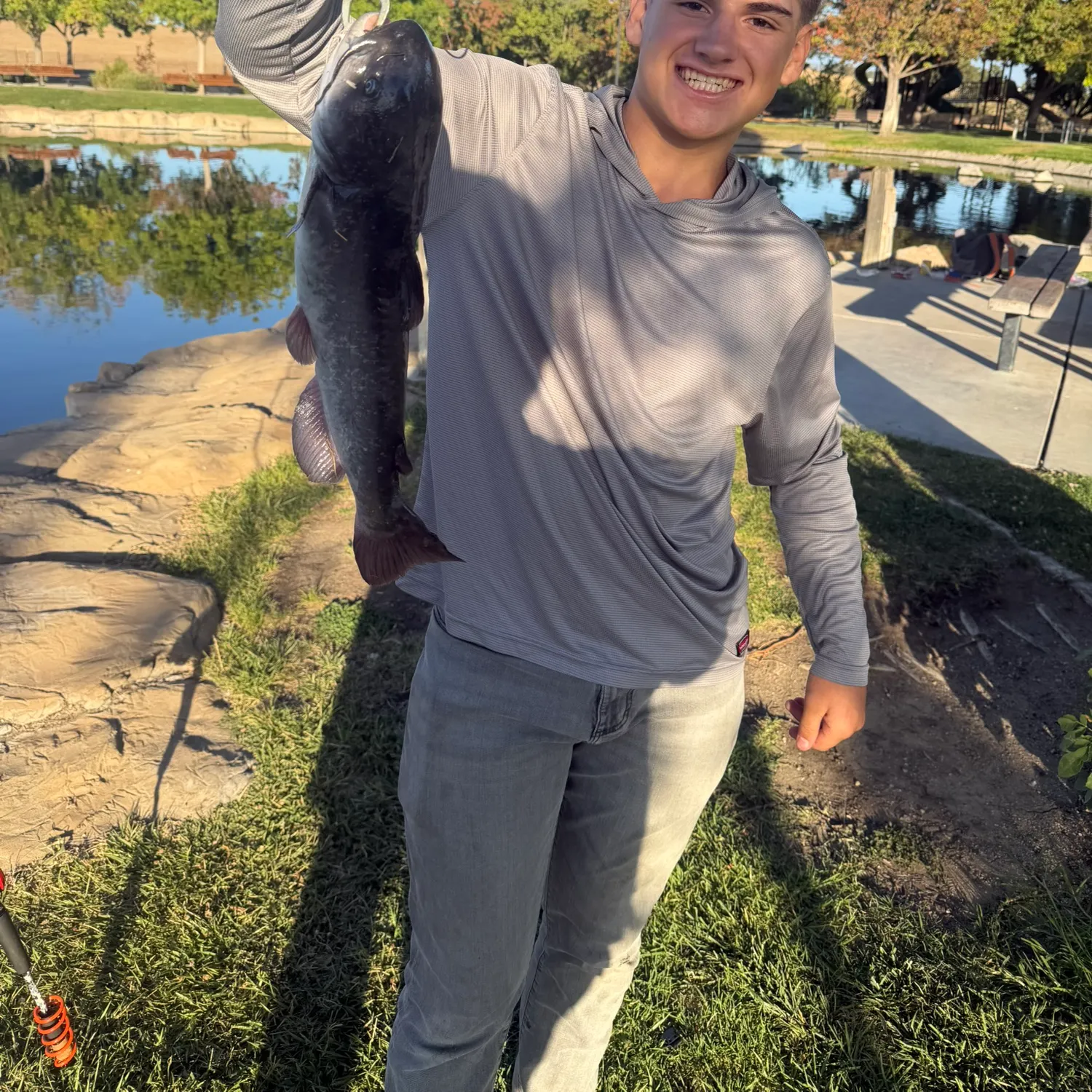 White bullhead caught on Fishbrain