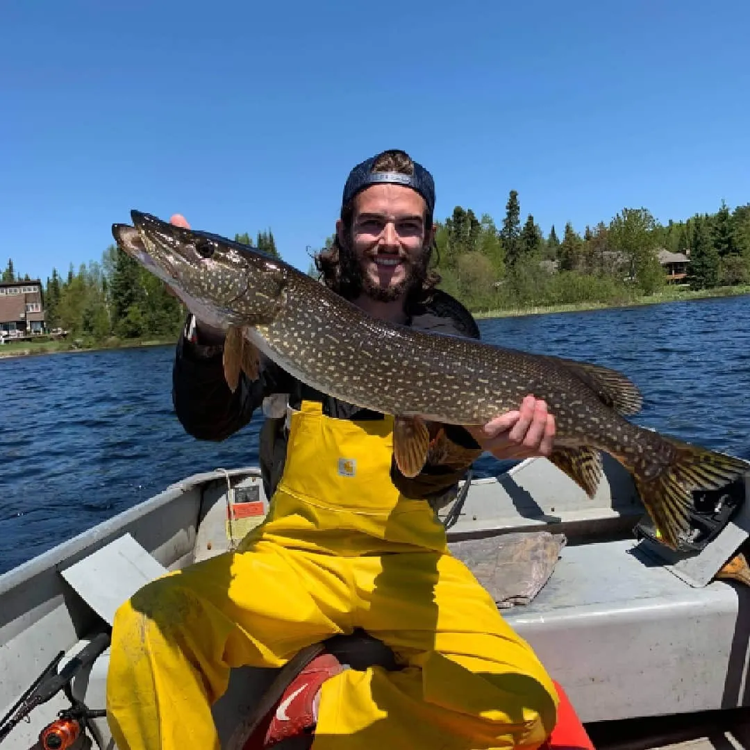 ᐅ Goodfish Lake fishing reports🎣• Ontario, Canada fishing