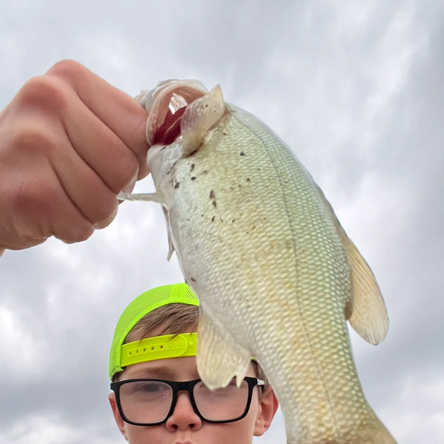 Smallmouth bass caught on Fishbrain