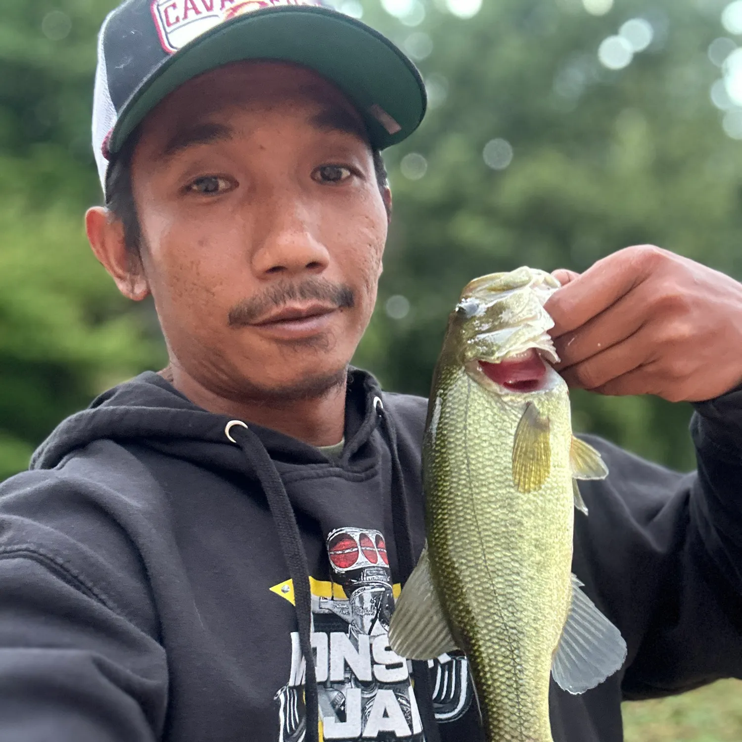 Largemouth bass caught on Fishbrain