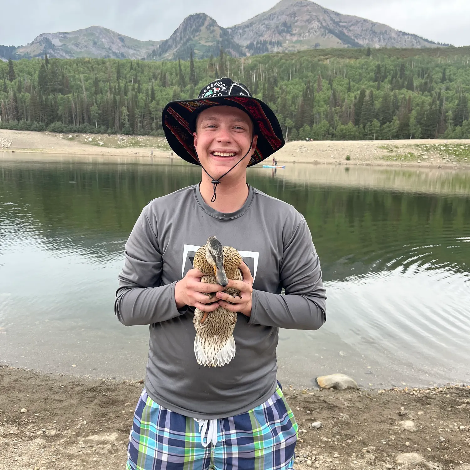 The most recent Bull ray catches on Fishbrain