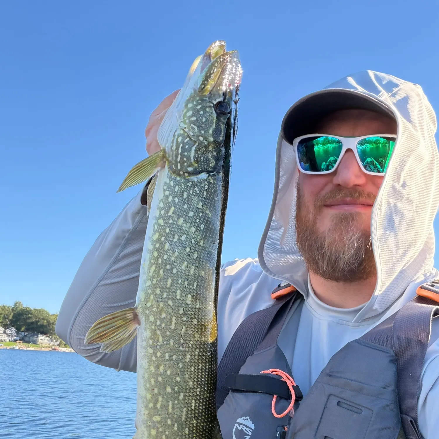 Northern pike caught on Fishbrain