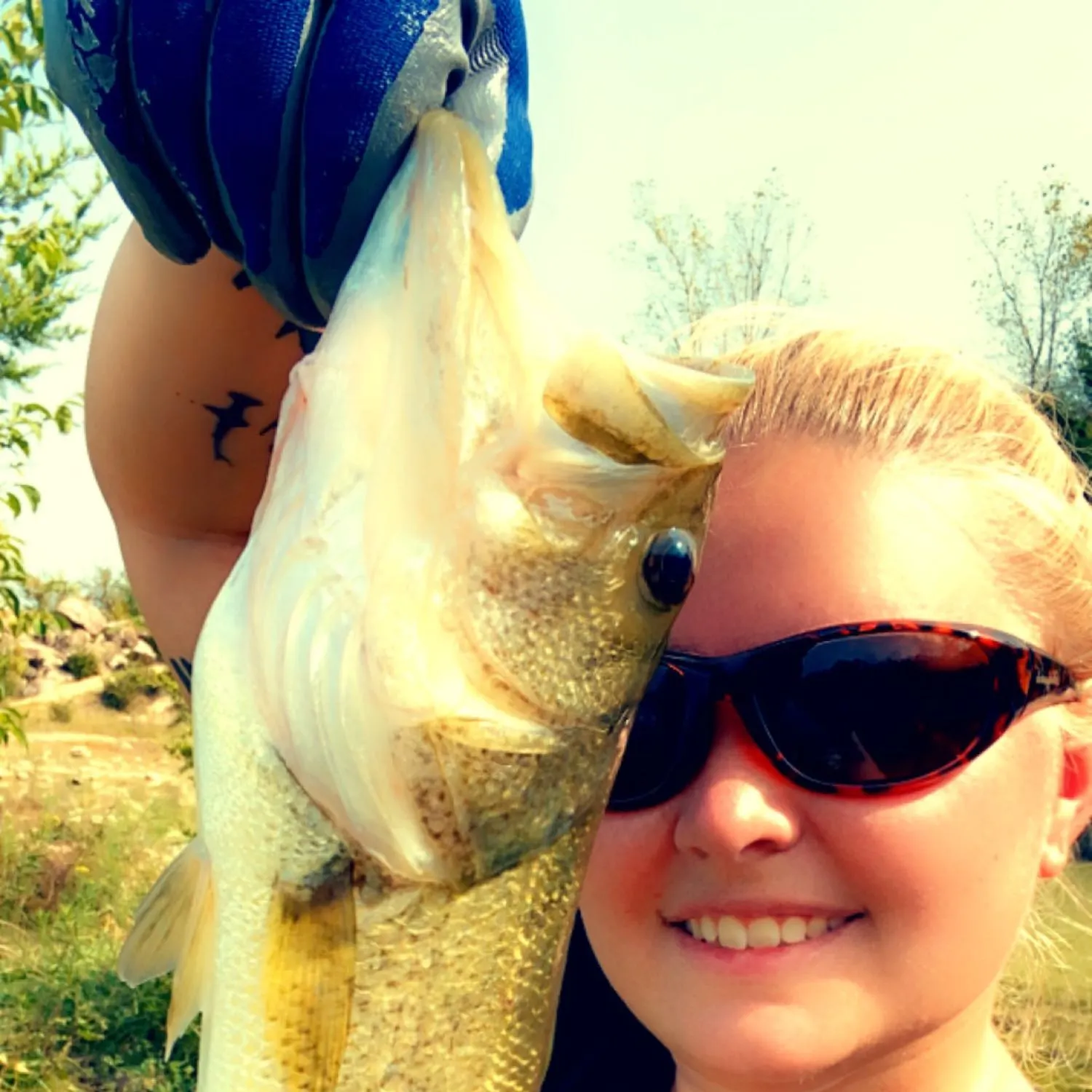 Largemouth bass caught on Fishbrain