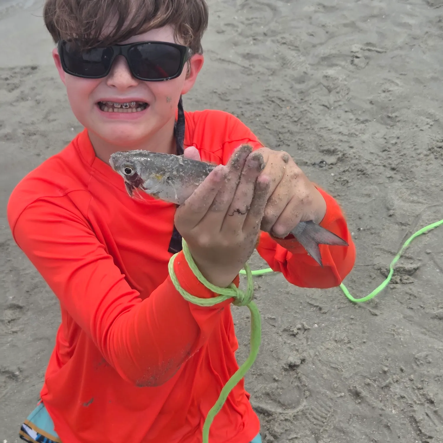 The most recent Striped mullet catches on Fishbrain