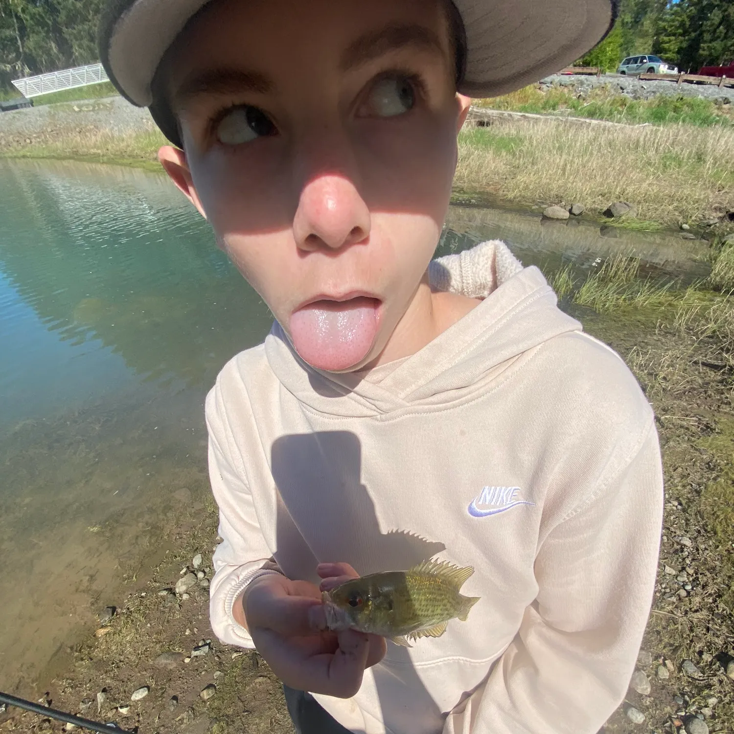 Rock bass caught on Fishbrain