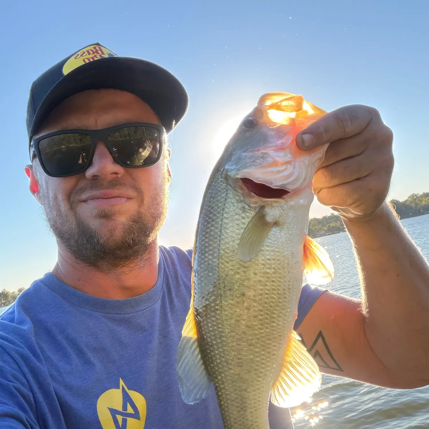 Largemouth bass caught on Fishbrain