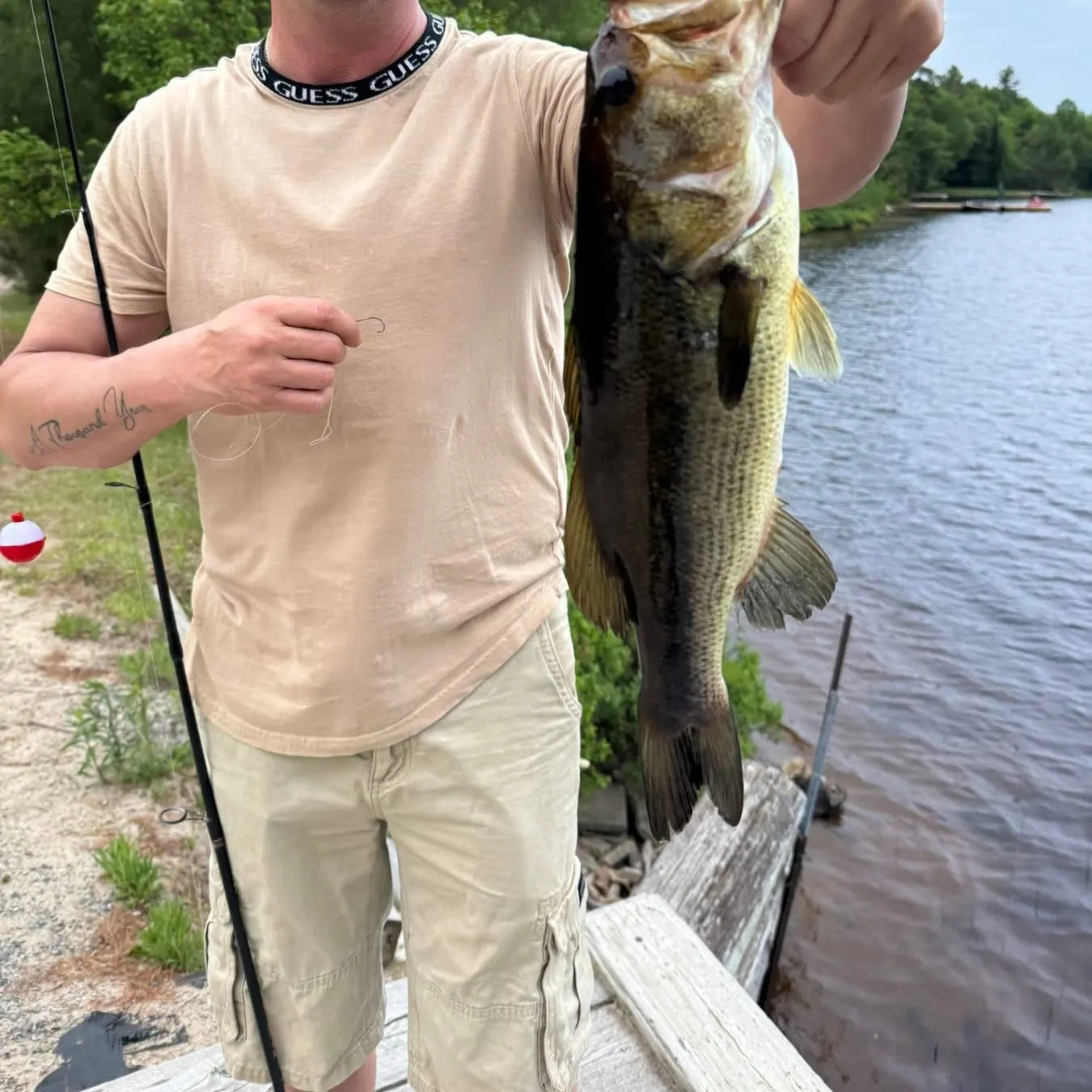 Largemouth bass caught on Fishbrain