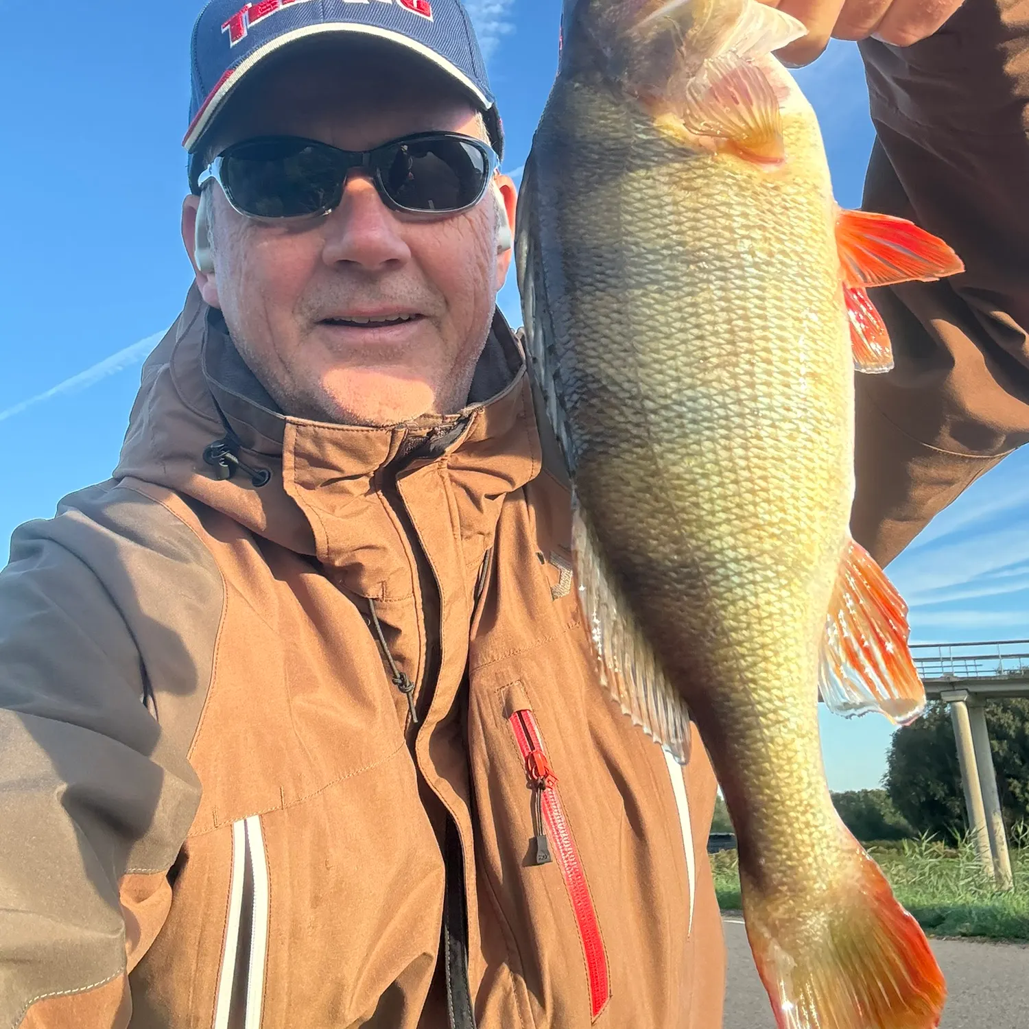 European perch caught on Fishbrain