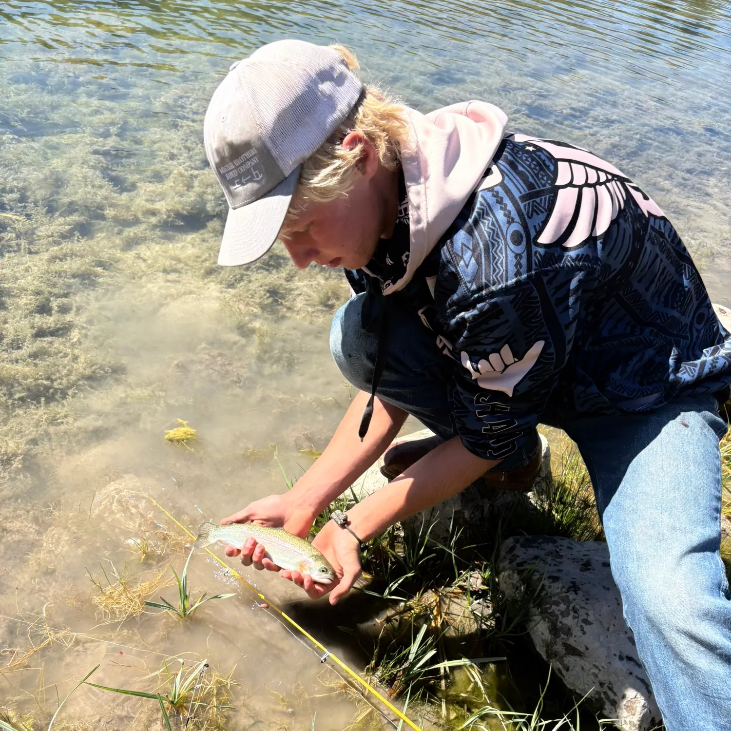 Rainbow trout caught on Fishbrain