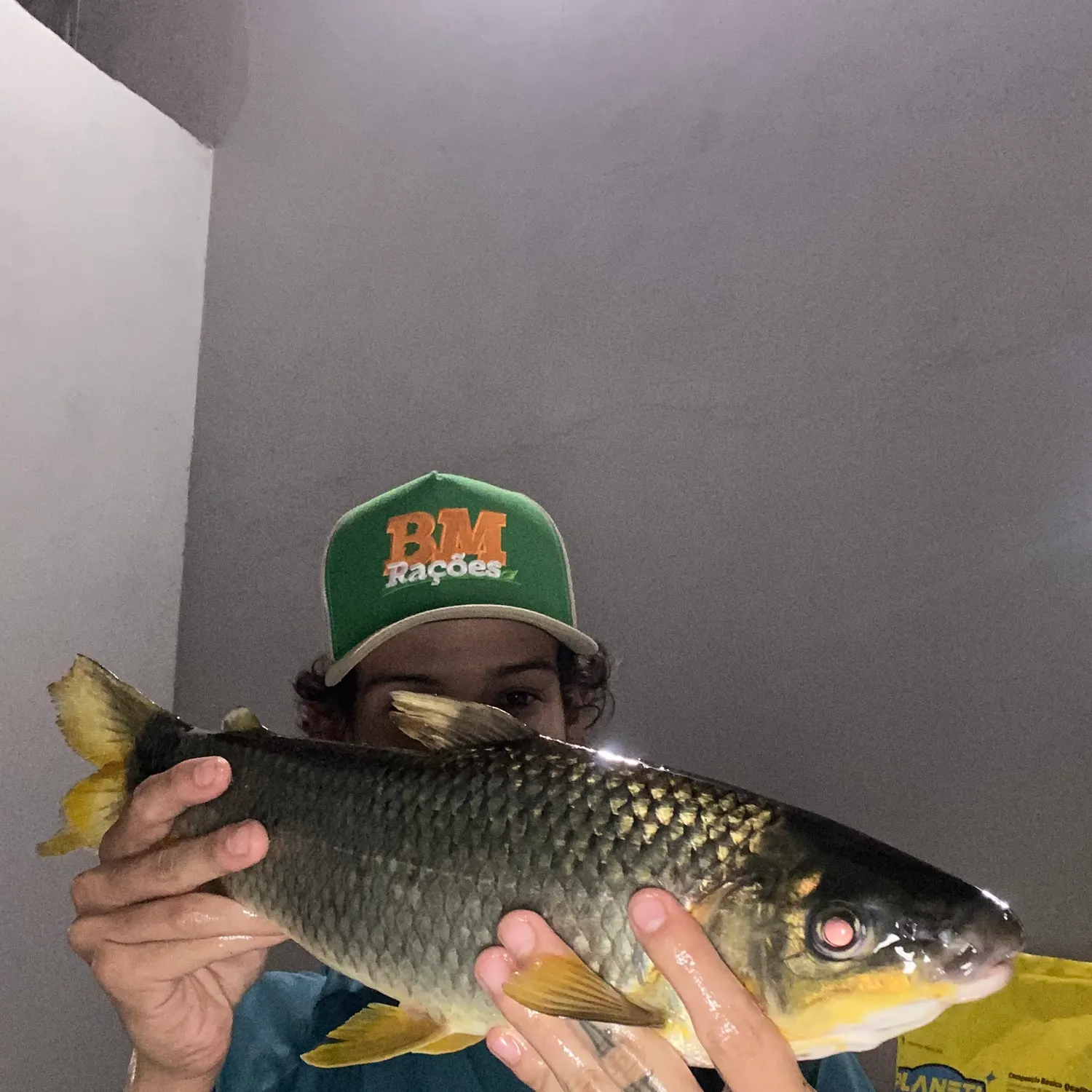 The most recent Boga catches on Fishbrain