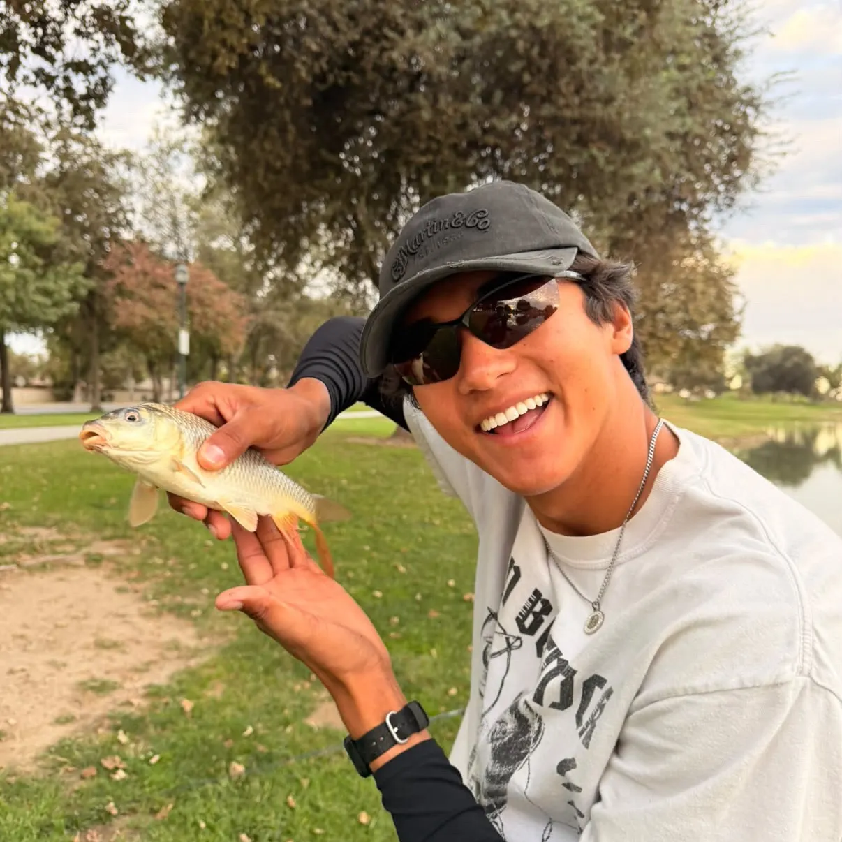 Common carp caught on Fishbrain