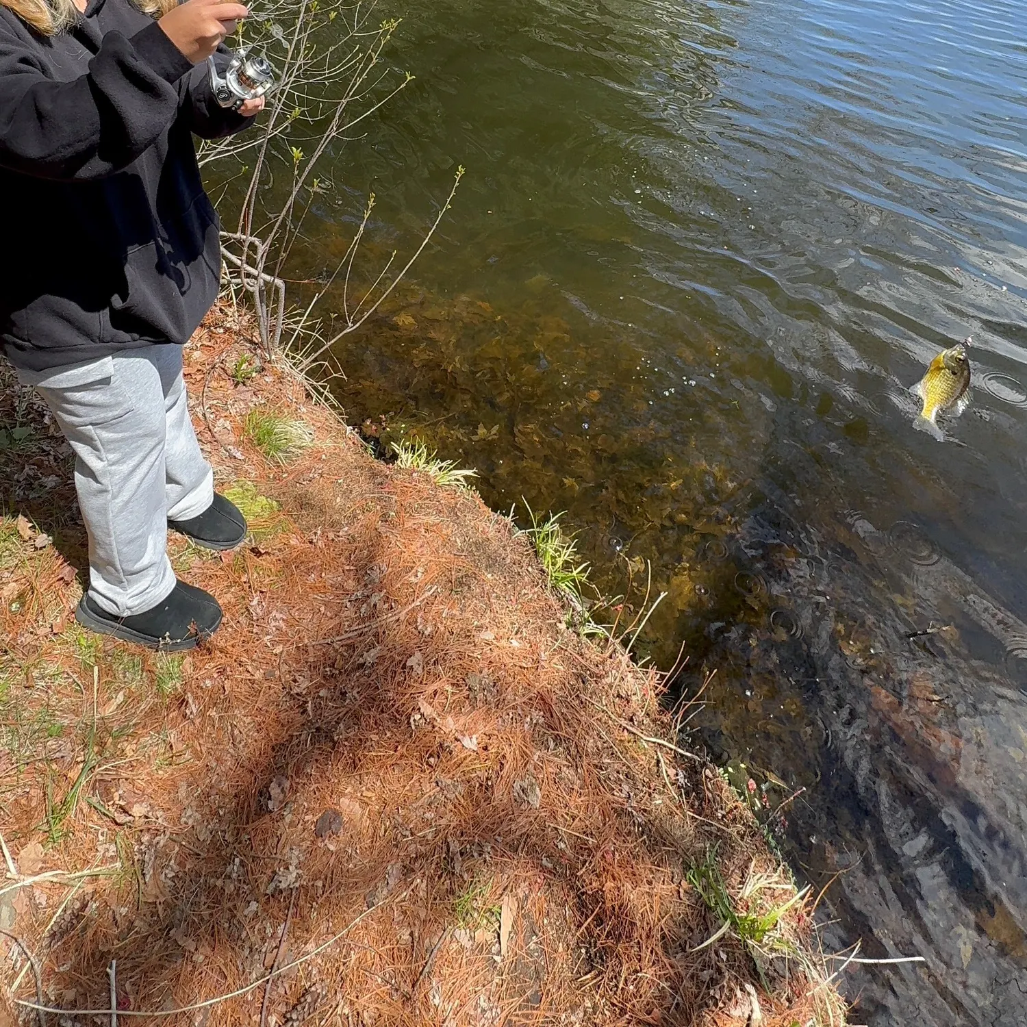 catch