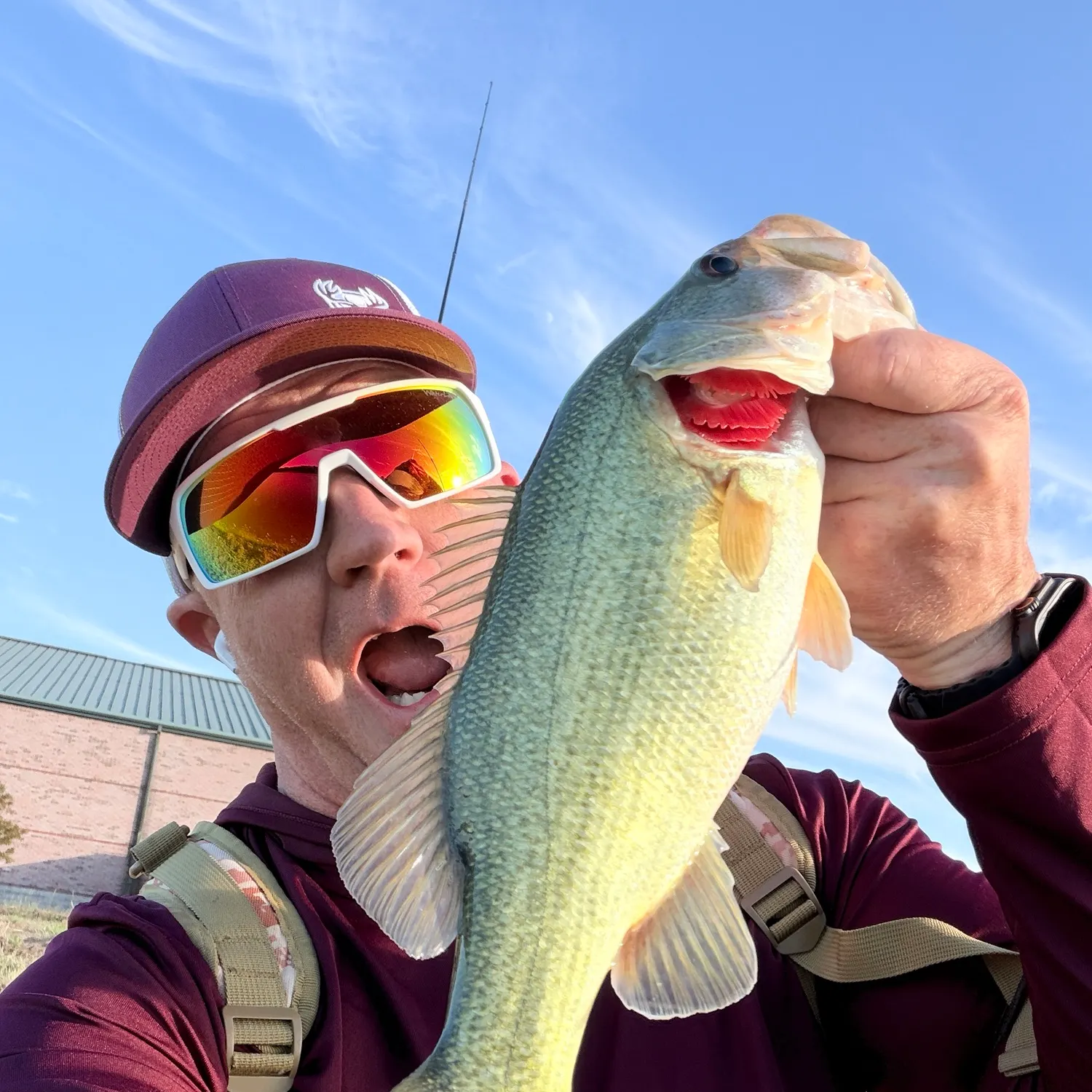 Largemouth bass caught on Fishbrain