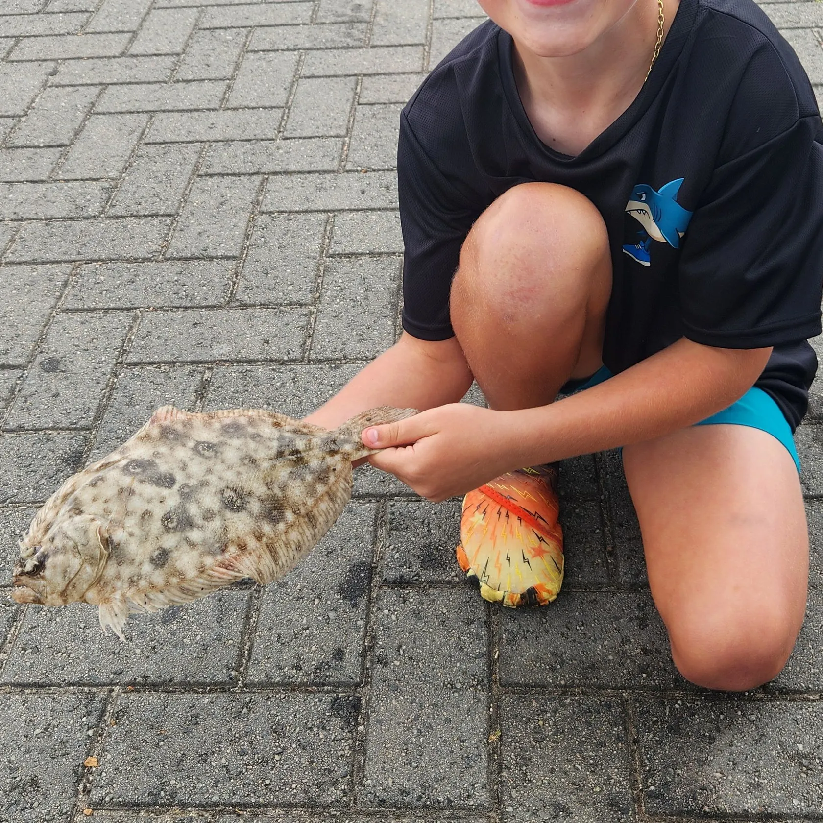 The most recent Southern flounder catches on Fishbrain
