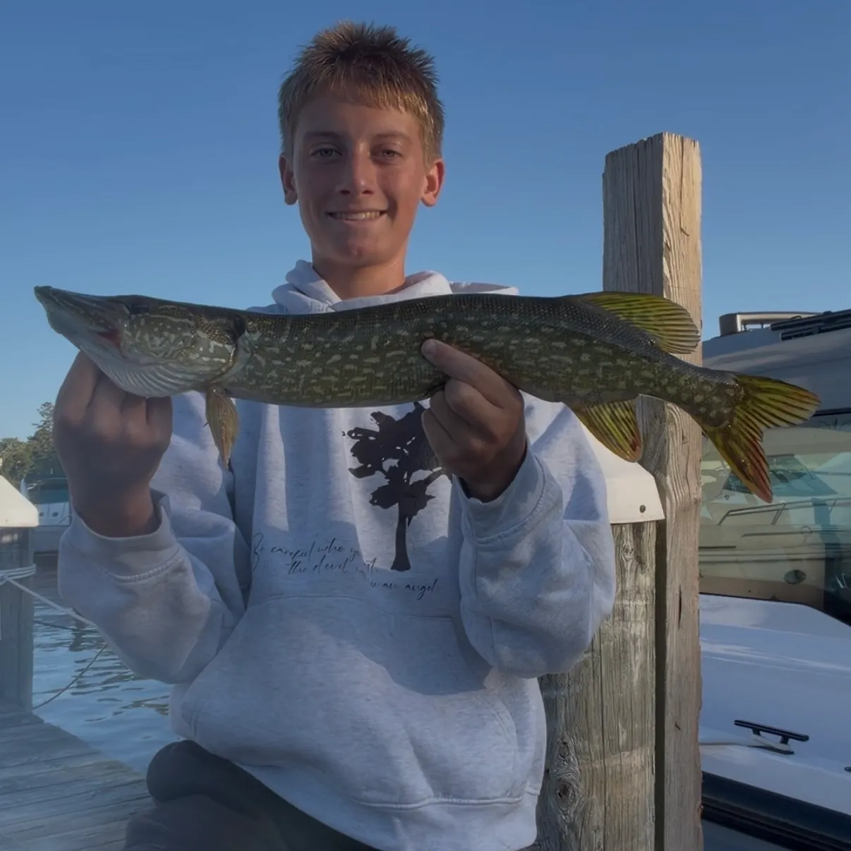 Northern pike caught on Fishbrain