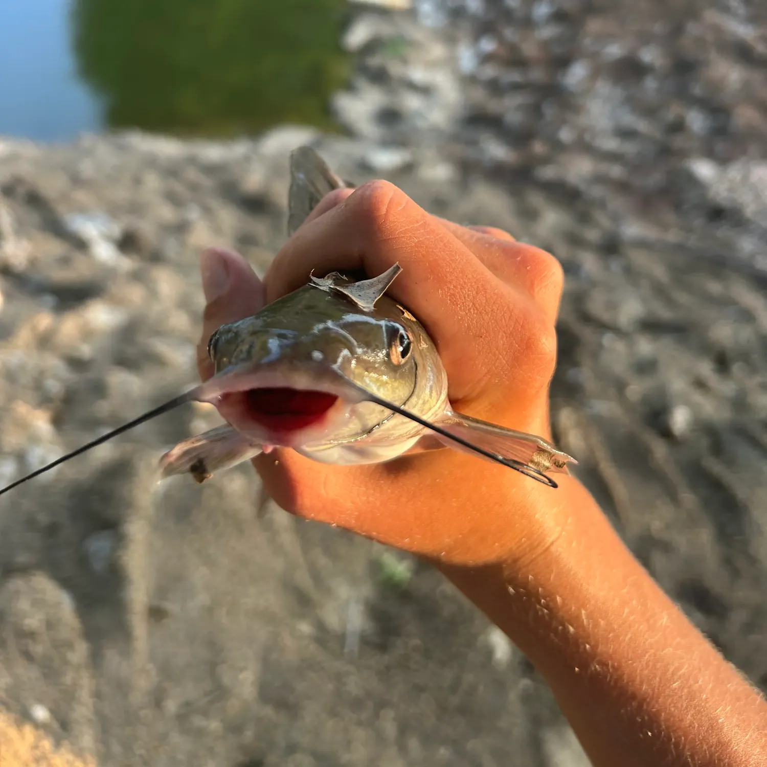 catch