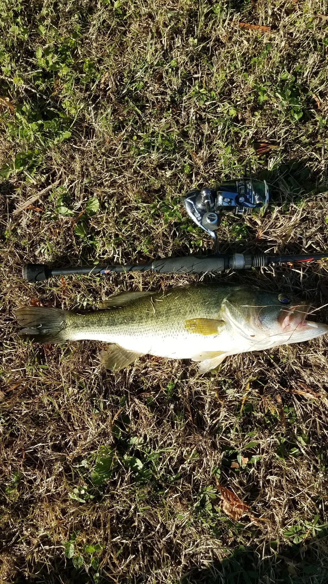 Post image from agraham5897