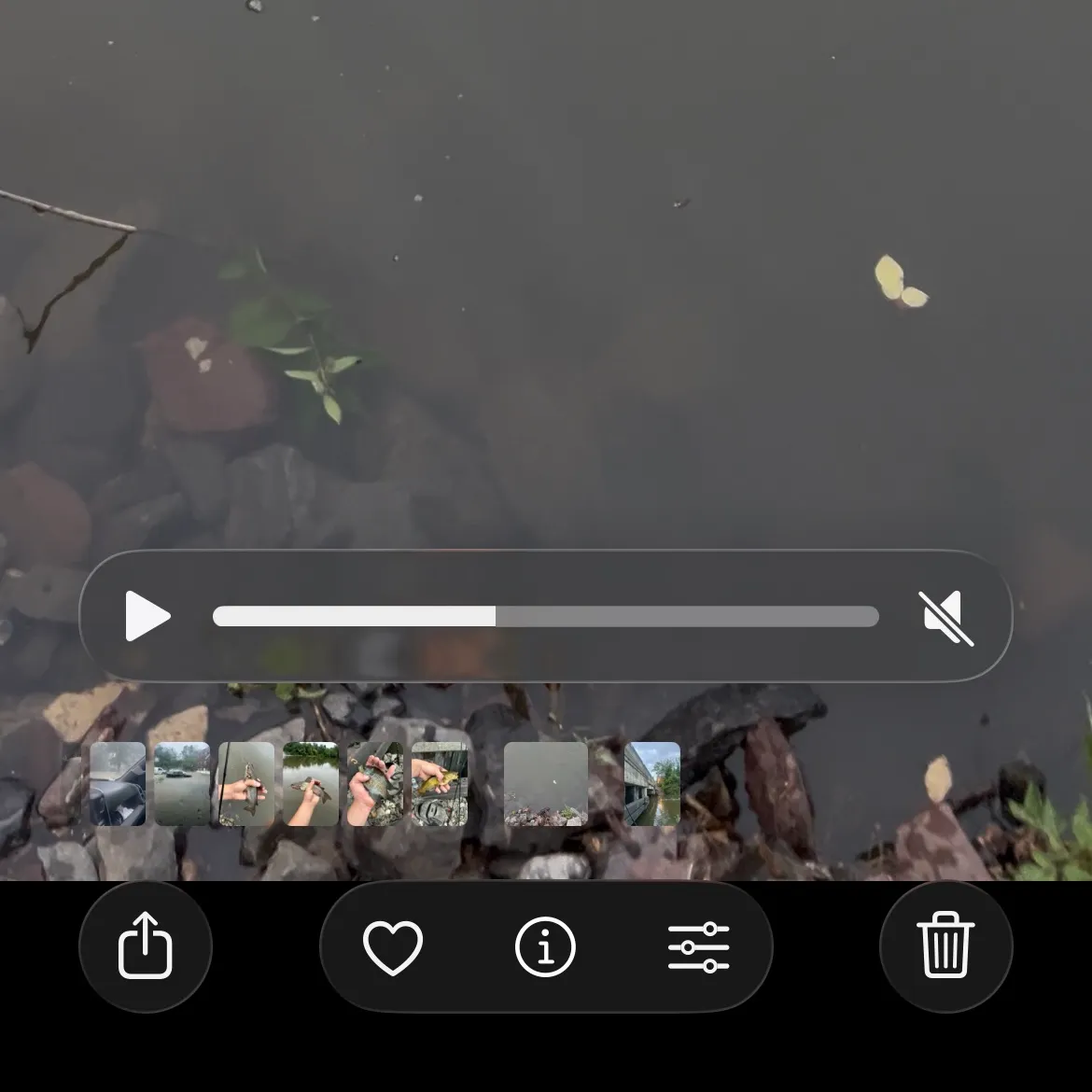 The most recent Alligator snapping turtle catches on Fishbrain