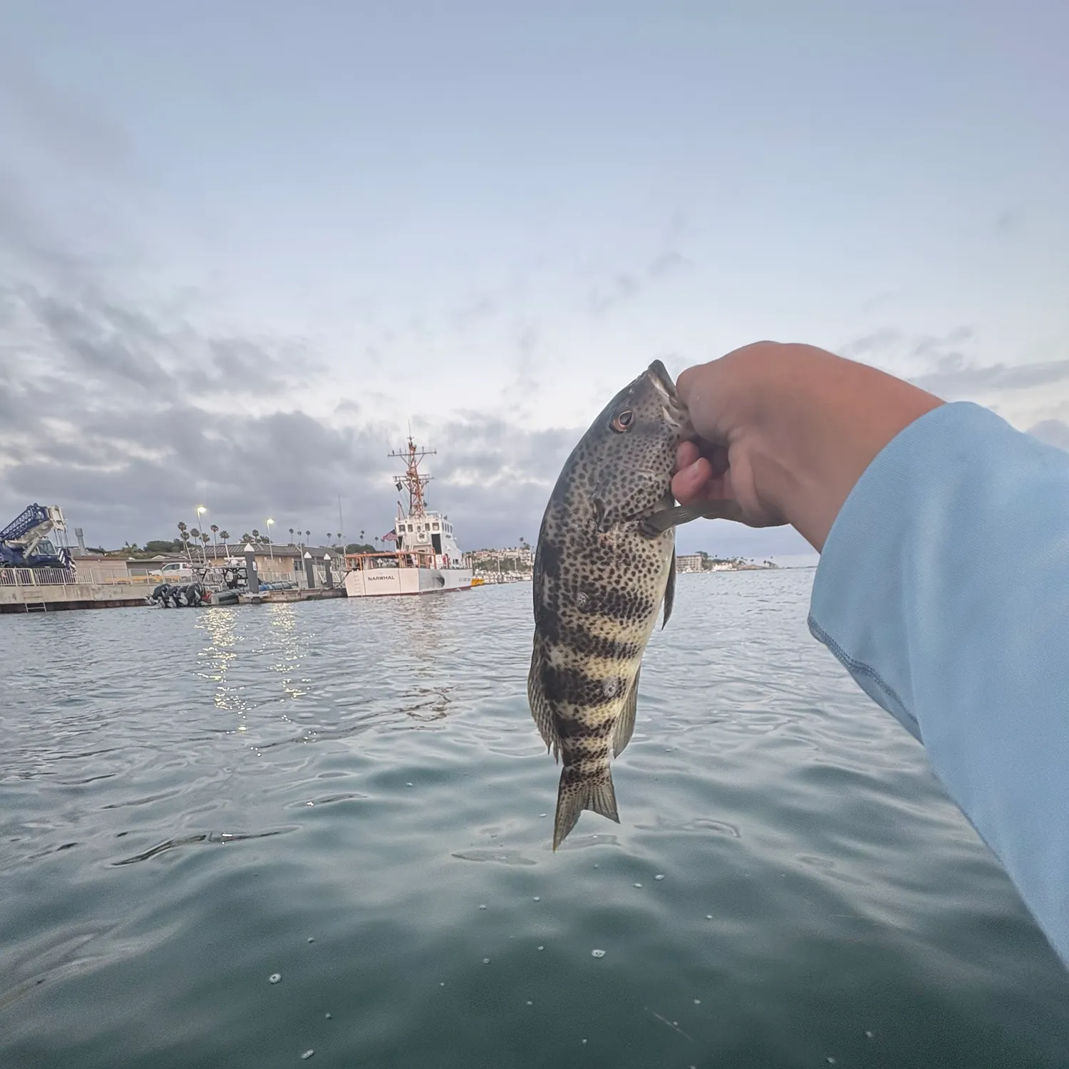 catch