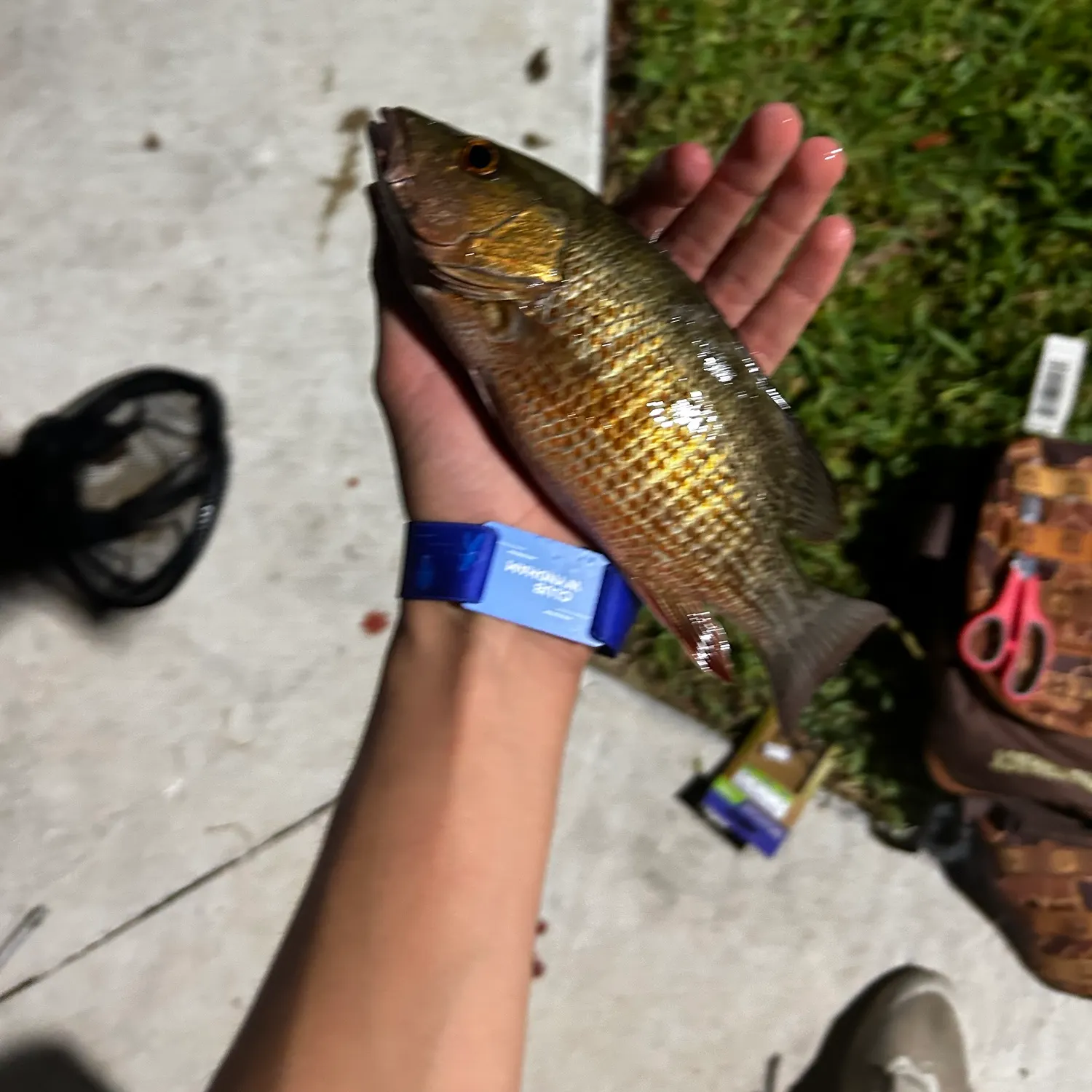 catch