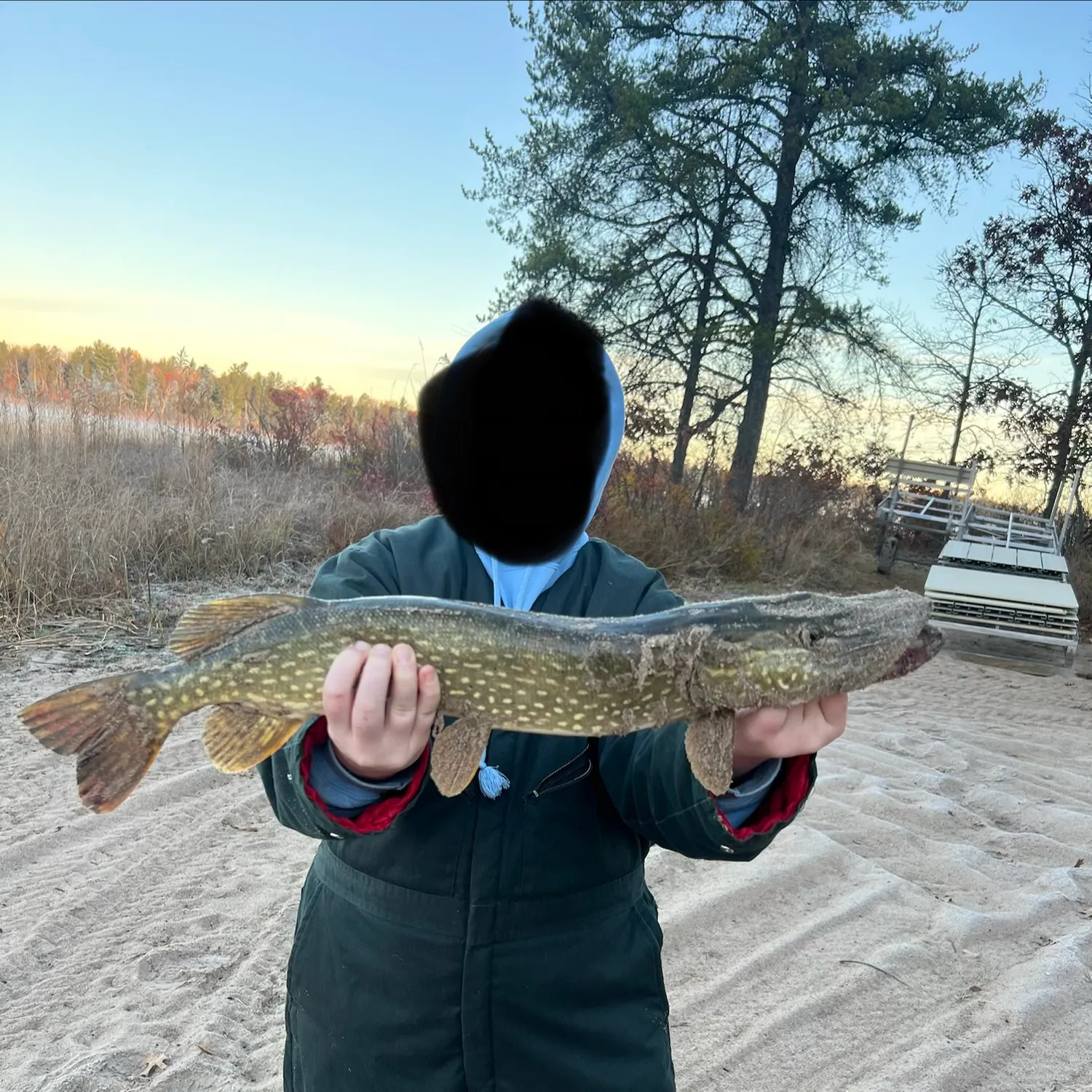 Northern pike caught on Fishbrain