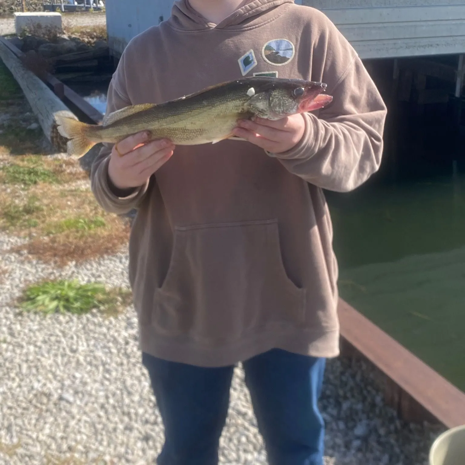 Walleye caught on Fishbrain