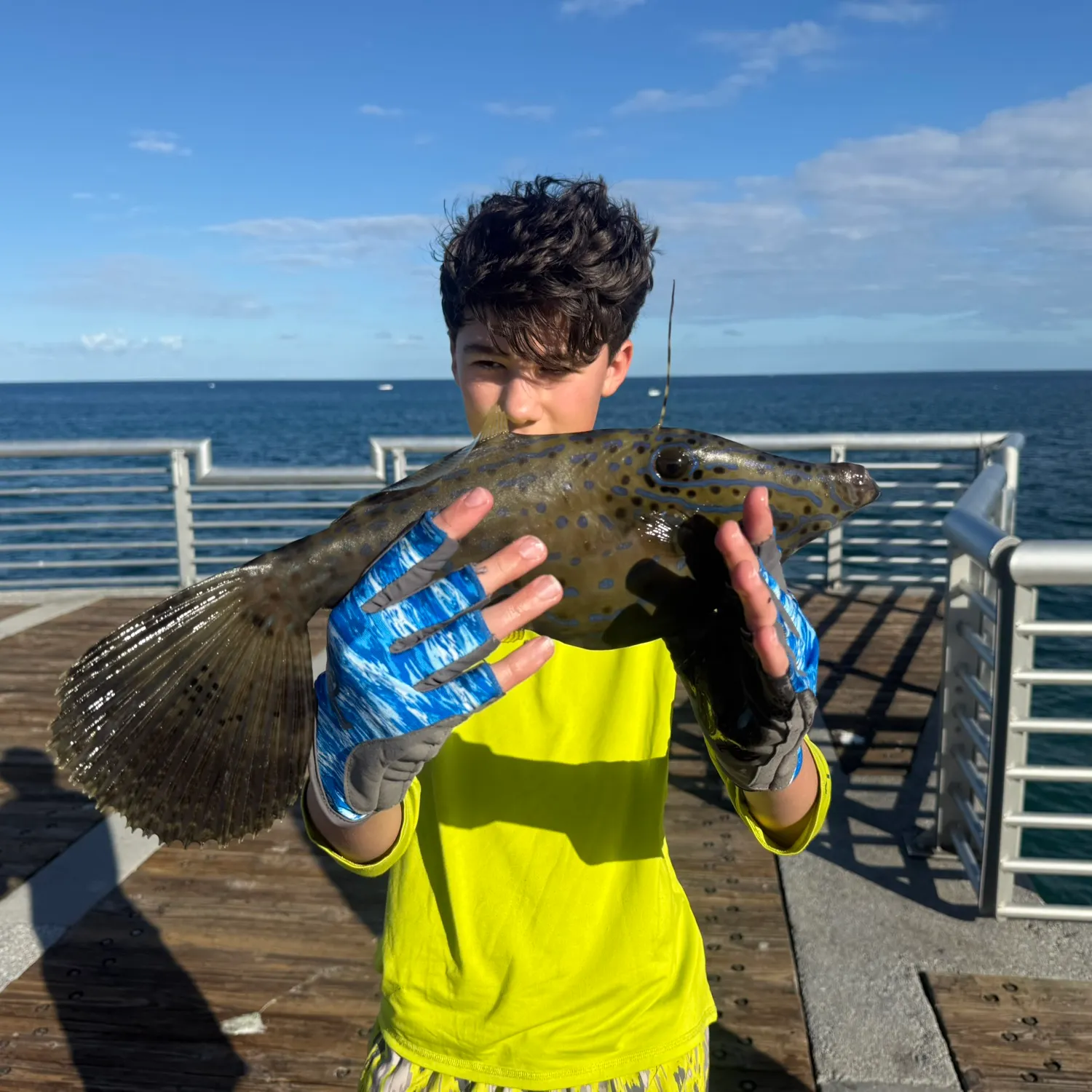 The most recent Scrawled filefish catches on Fishbrain