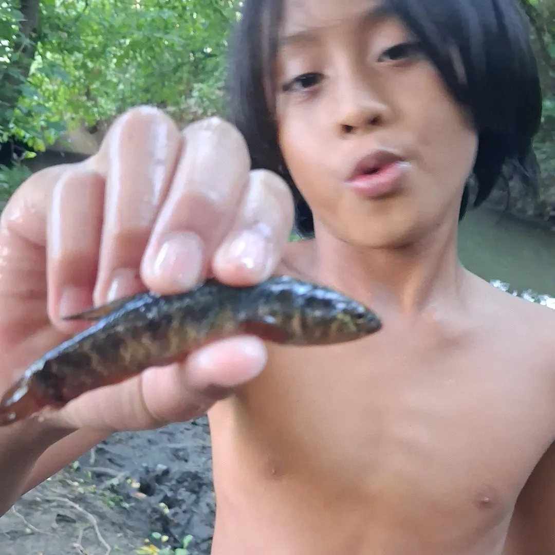 Fish caught on Fishbrain