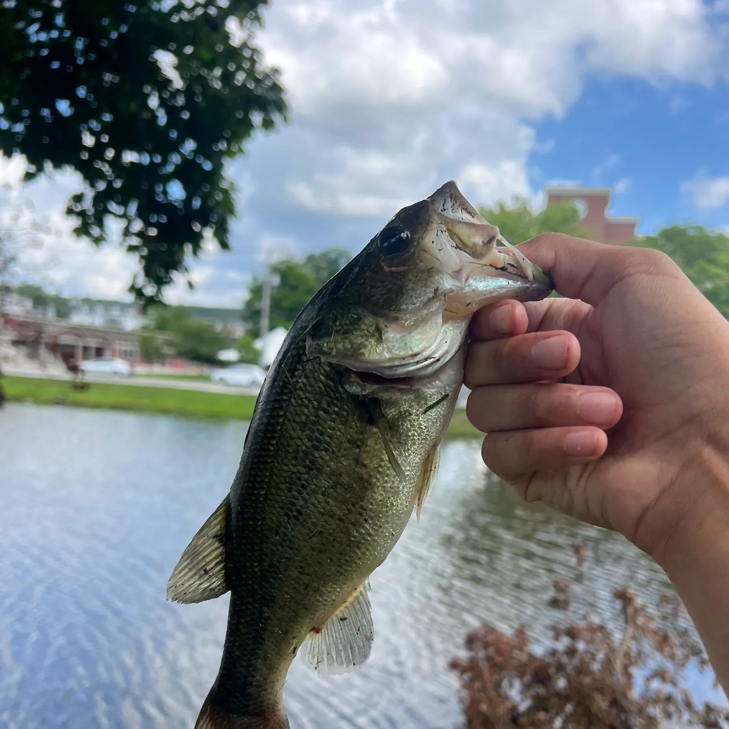 catch